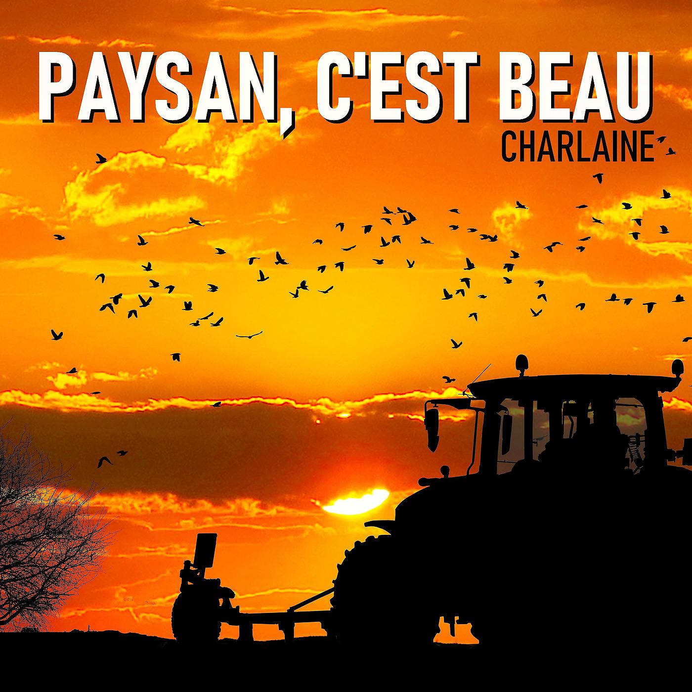 Постер альбома Paysan, C'Est Beau