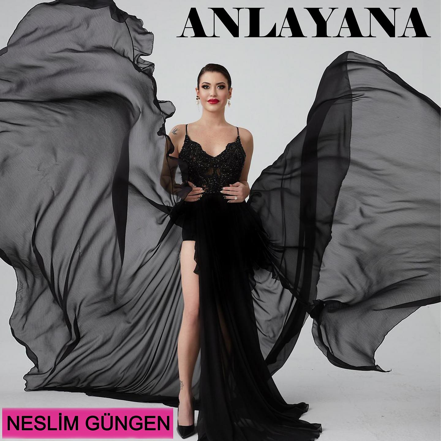 Постер альбома Anlayana