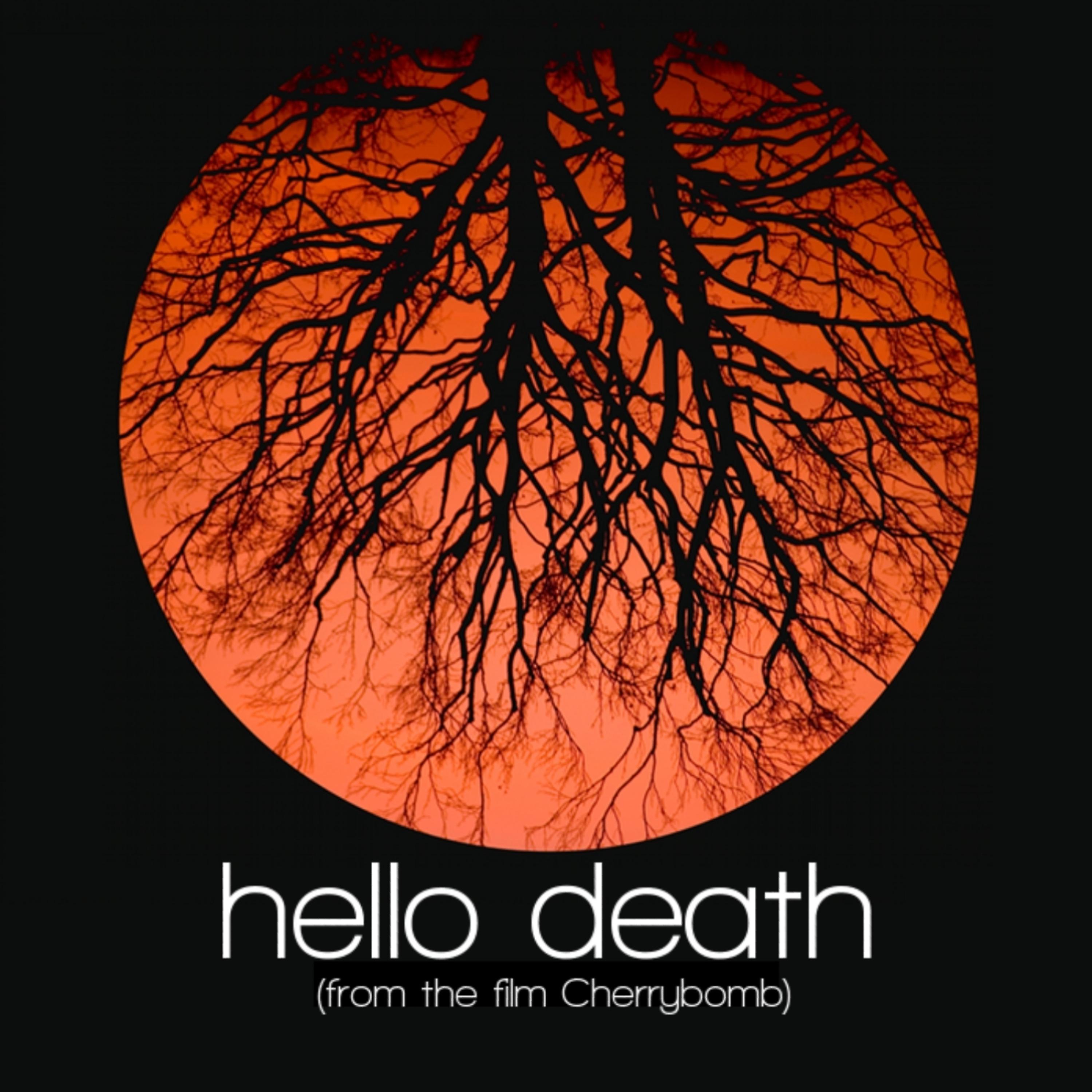 Постер альбома Hello Death