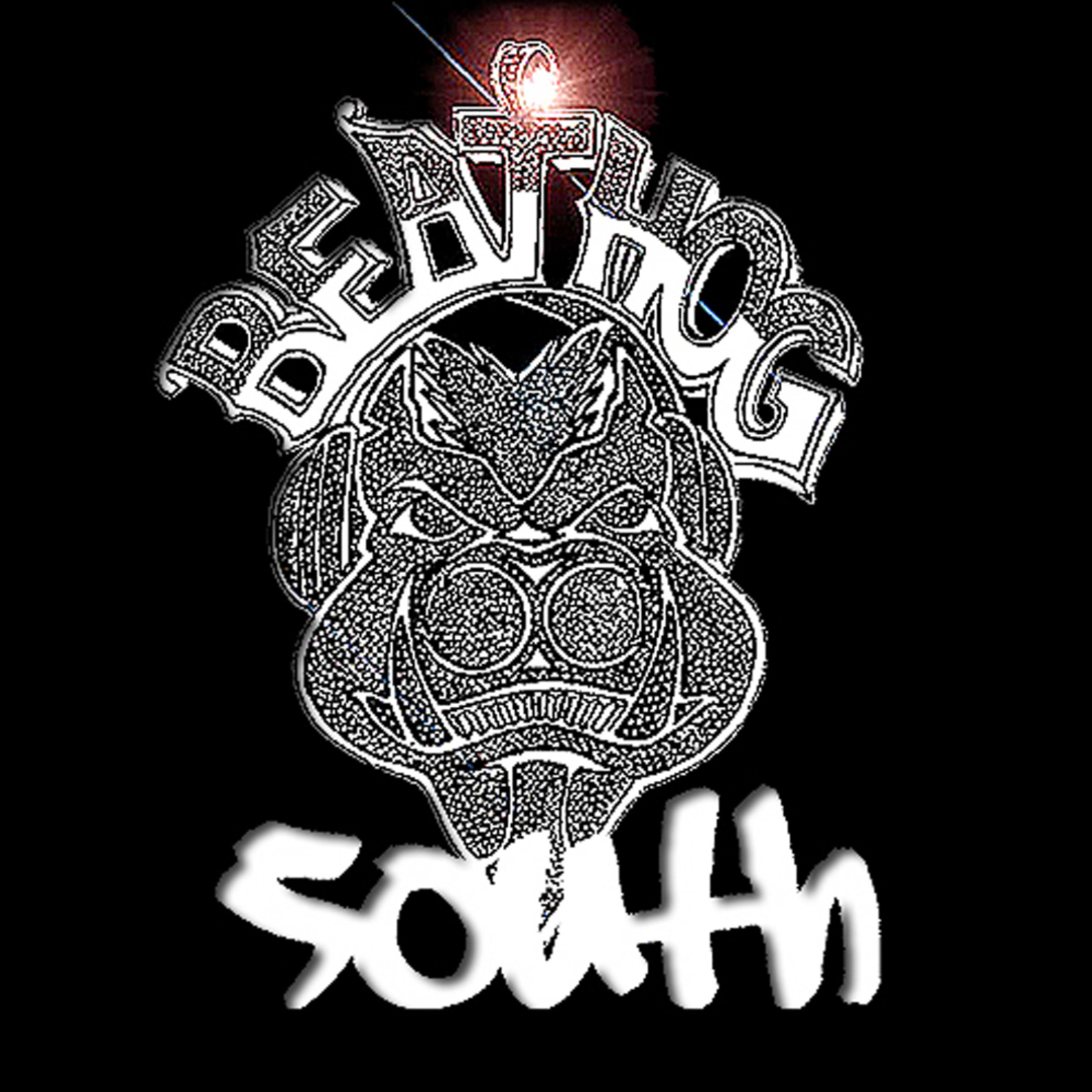 Постер альбома Beat Hog South DA REMIX