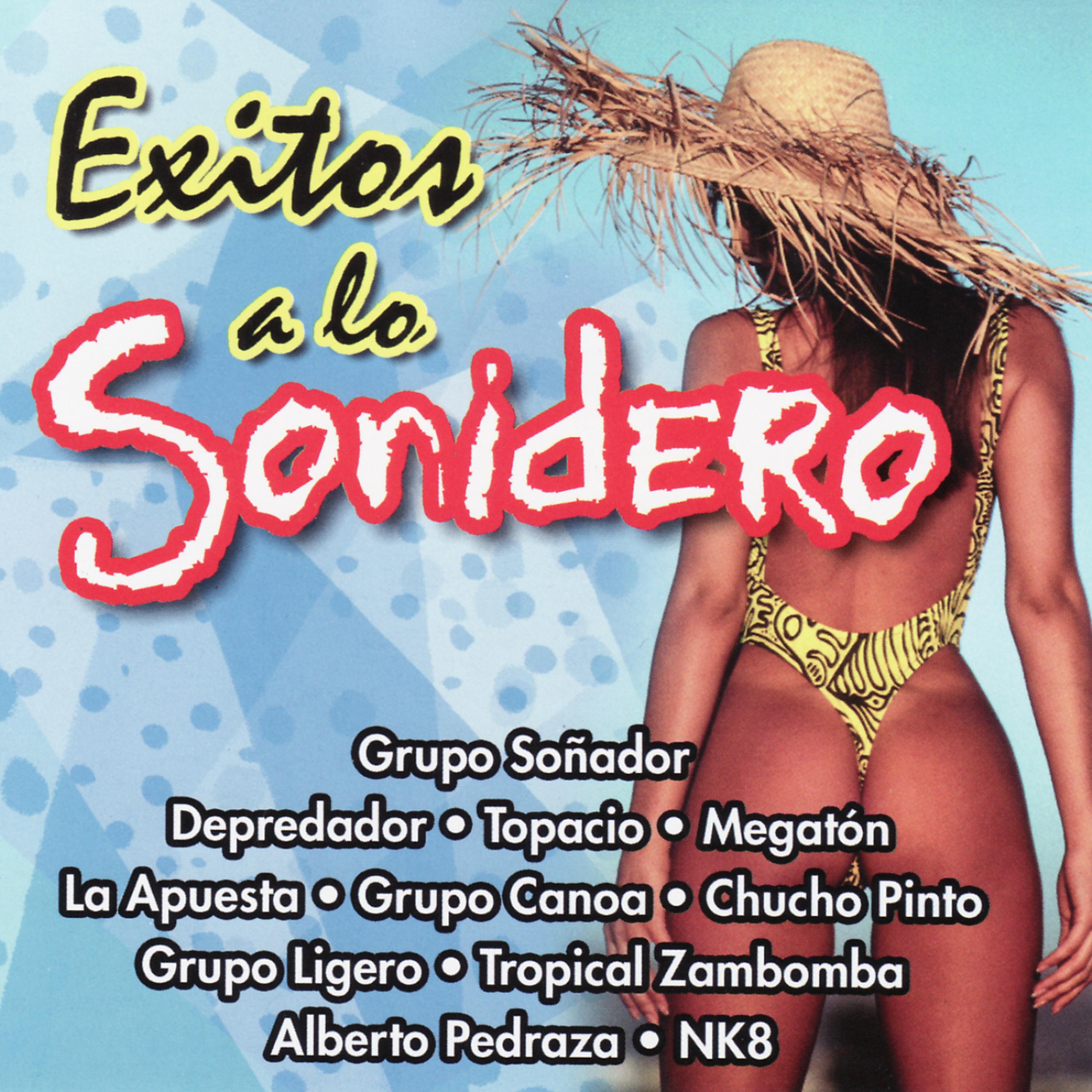 Постер альбома Exitos A La Sonidero