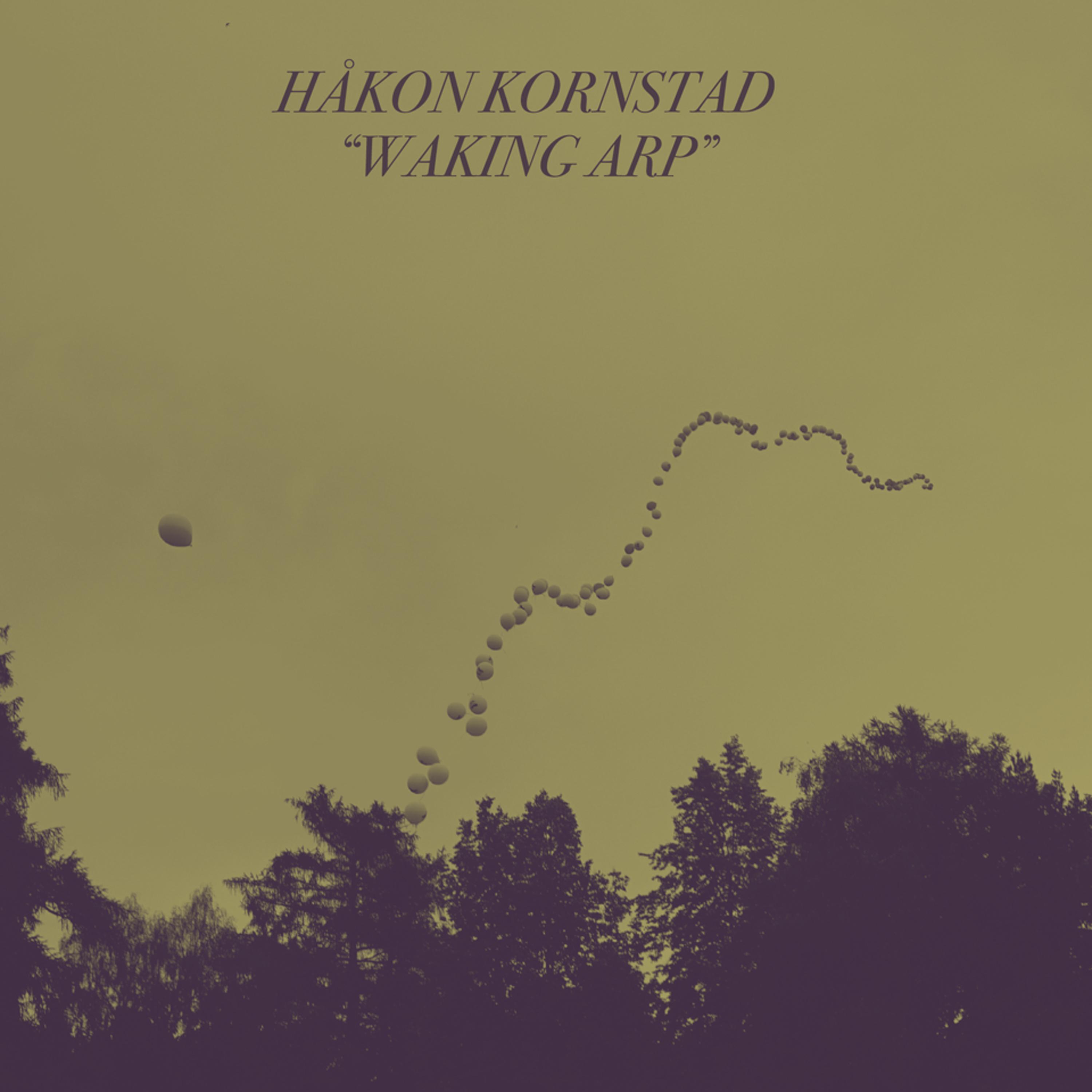 Постер альбома Waking Arp