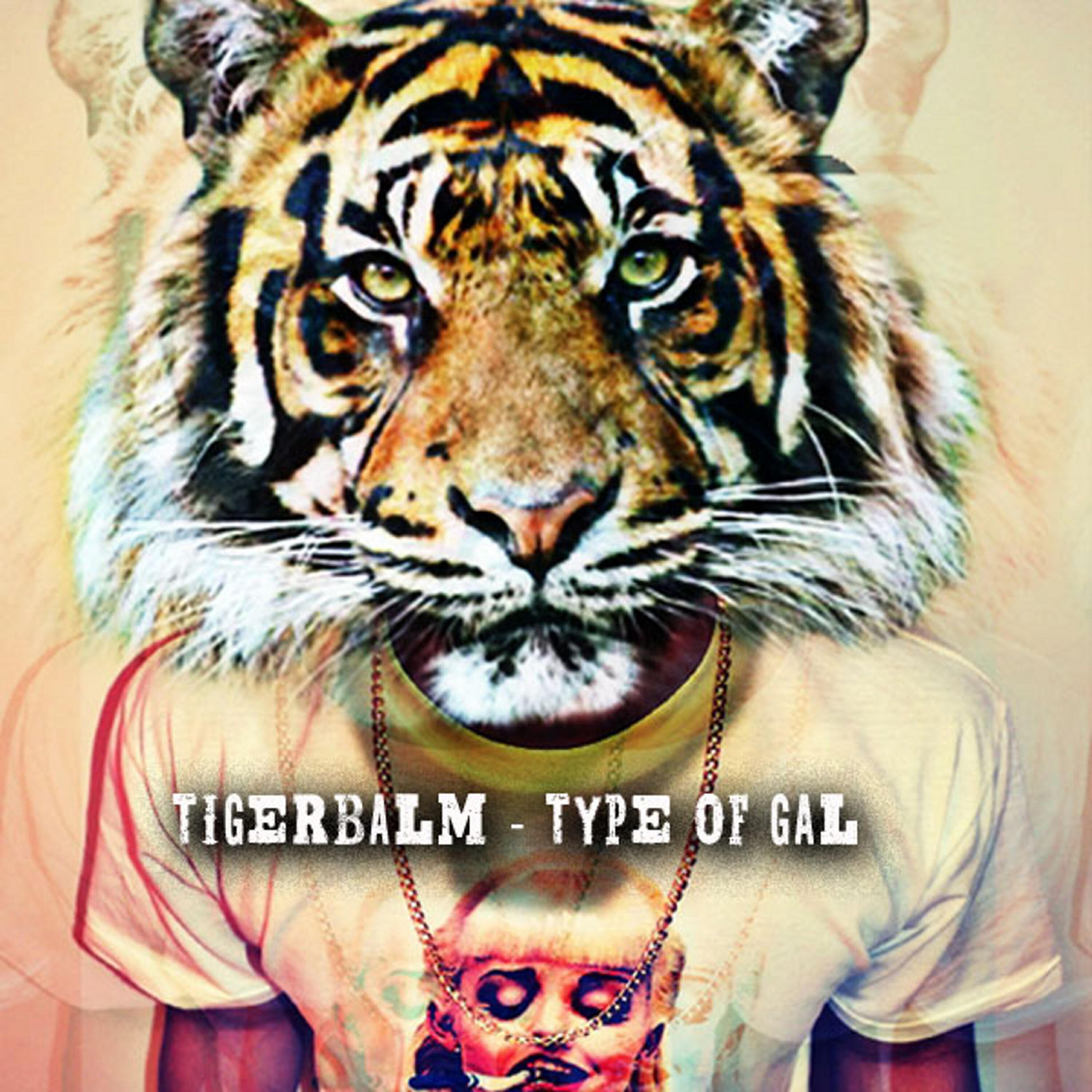 TigerBalm - Type of Gal (Oscar P 80s Bootleg Mix)