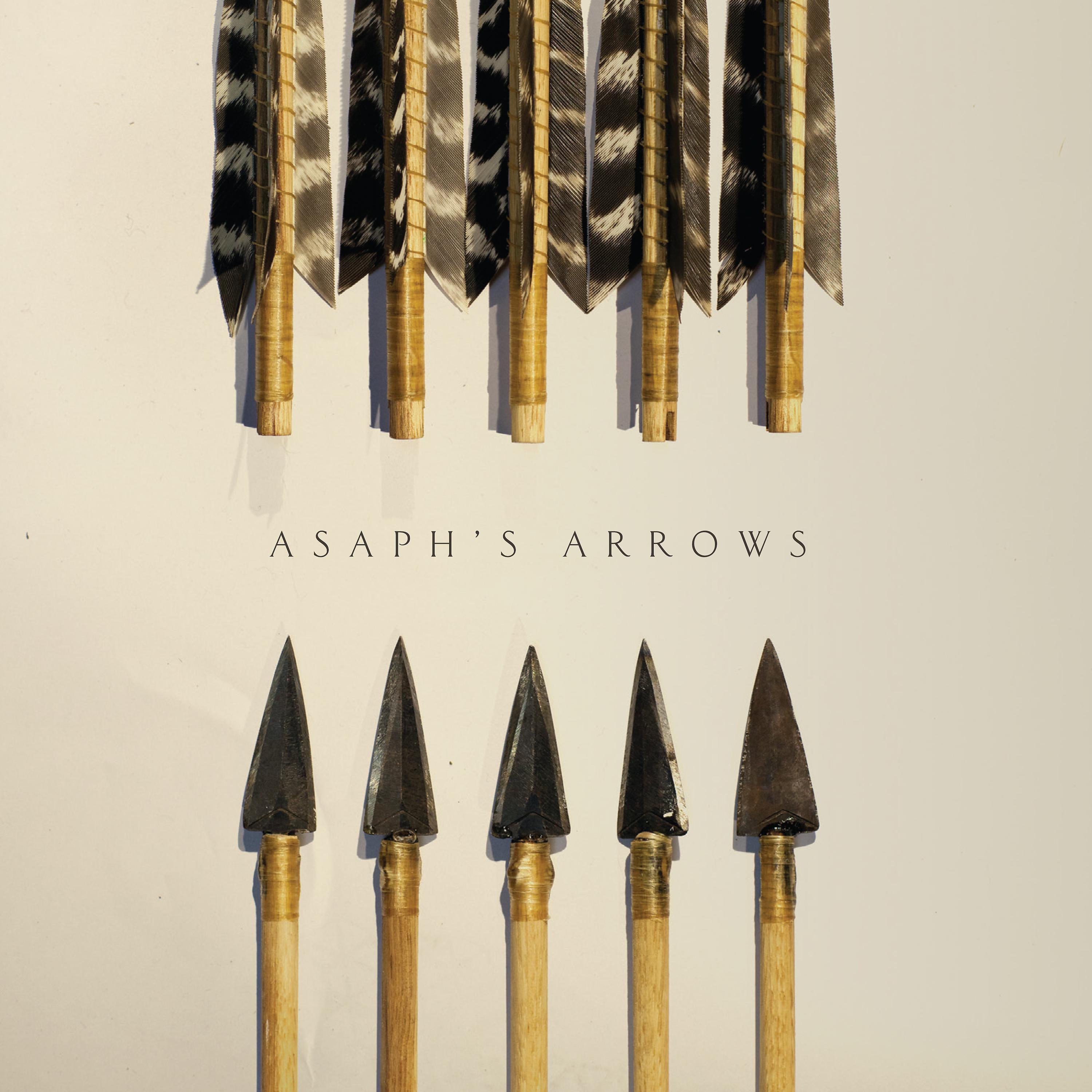Постер альбома Asaph's Arrows - EP