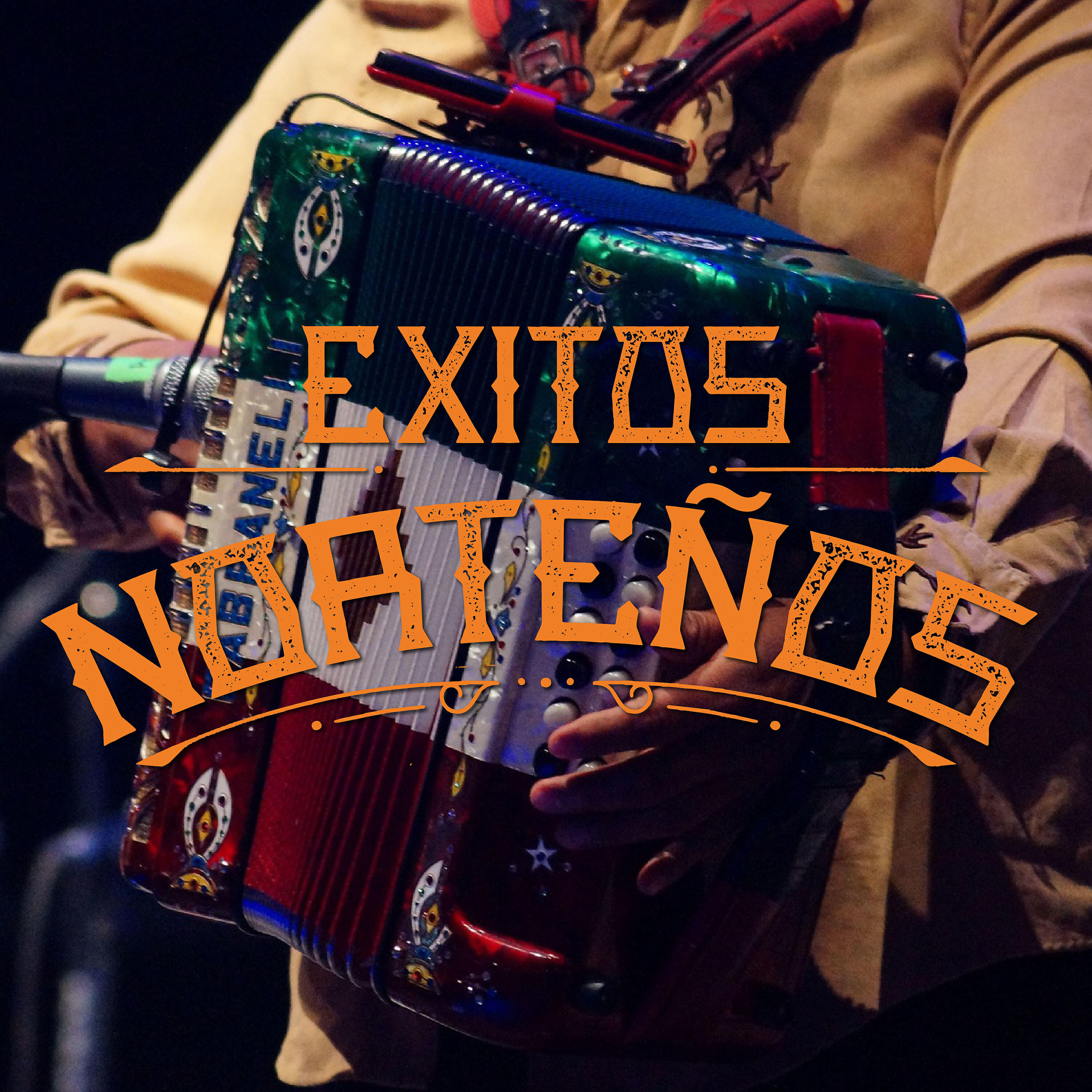 Los Idolos Del Norte - Chito Cano
