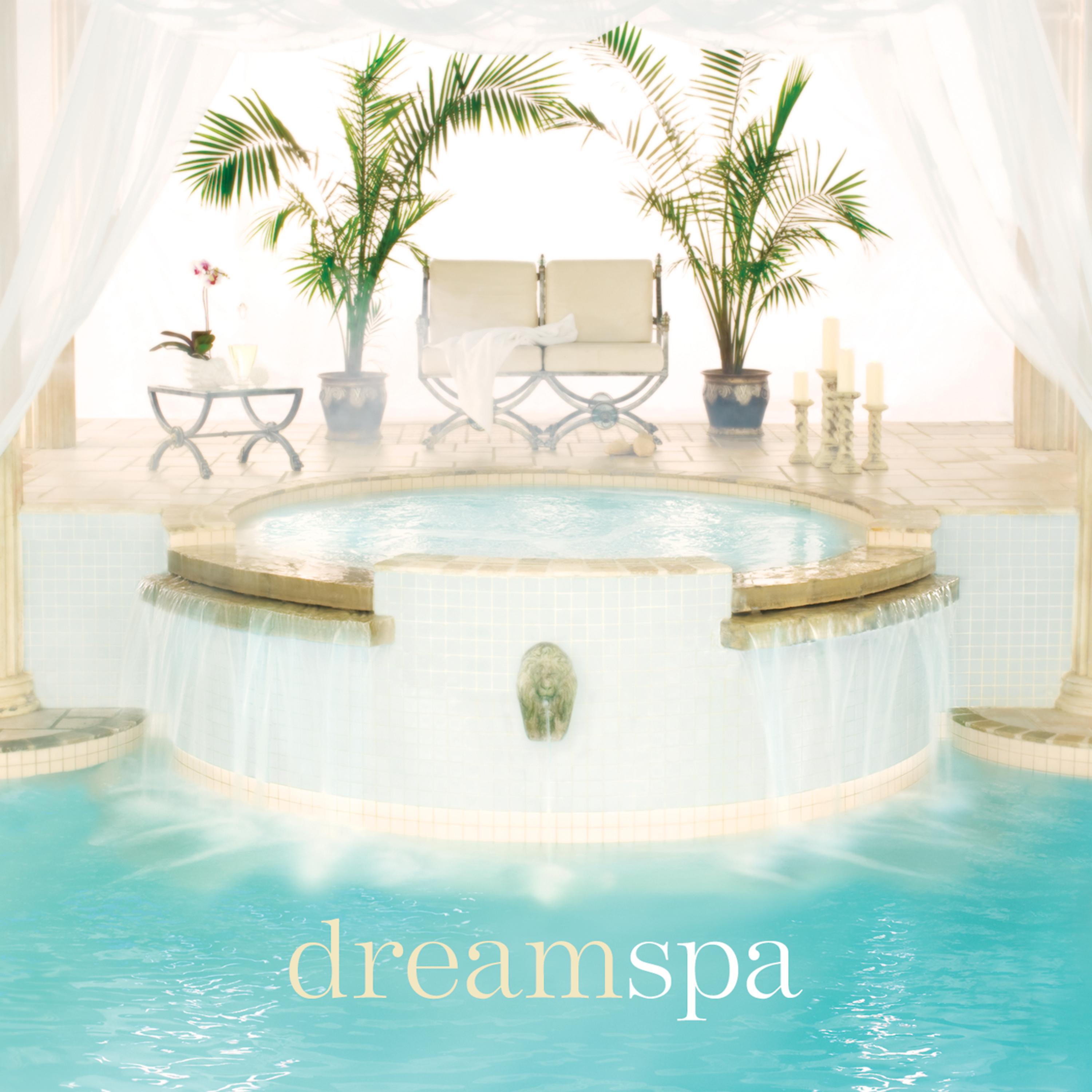 Постер альбома Dream Spa
