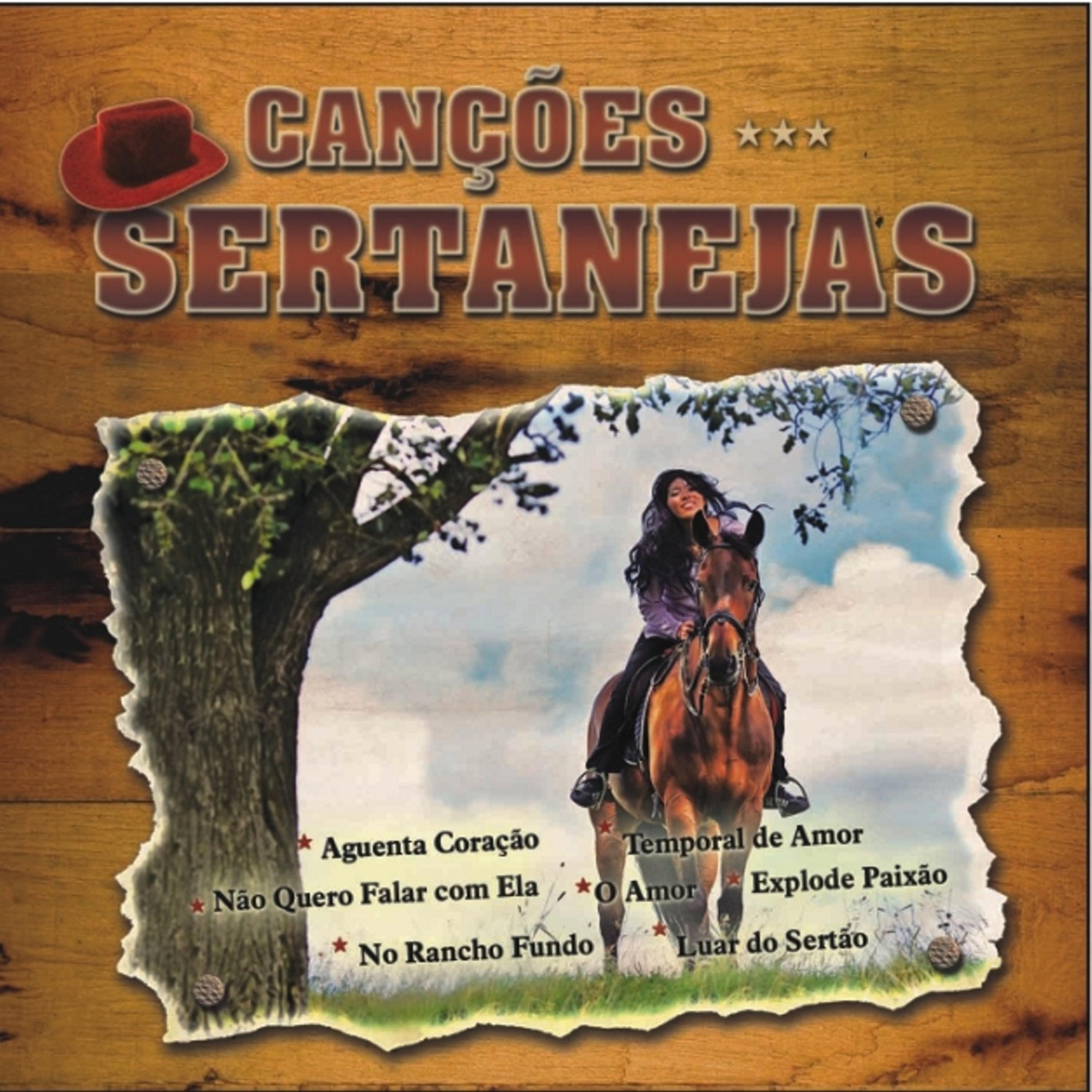 Постер альбома Canções Sertanejas
