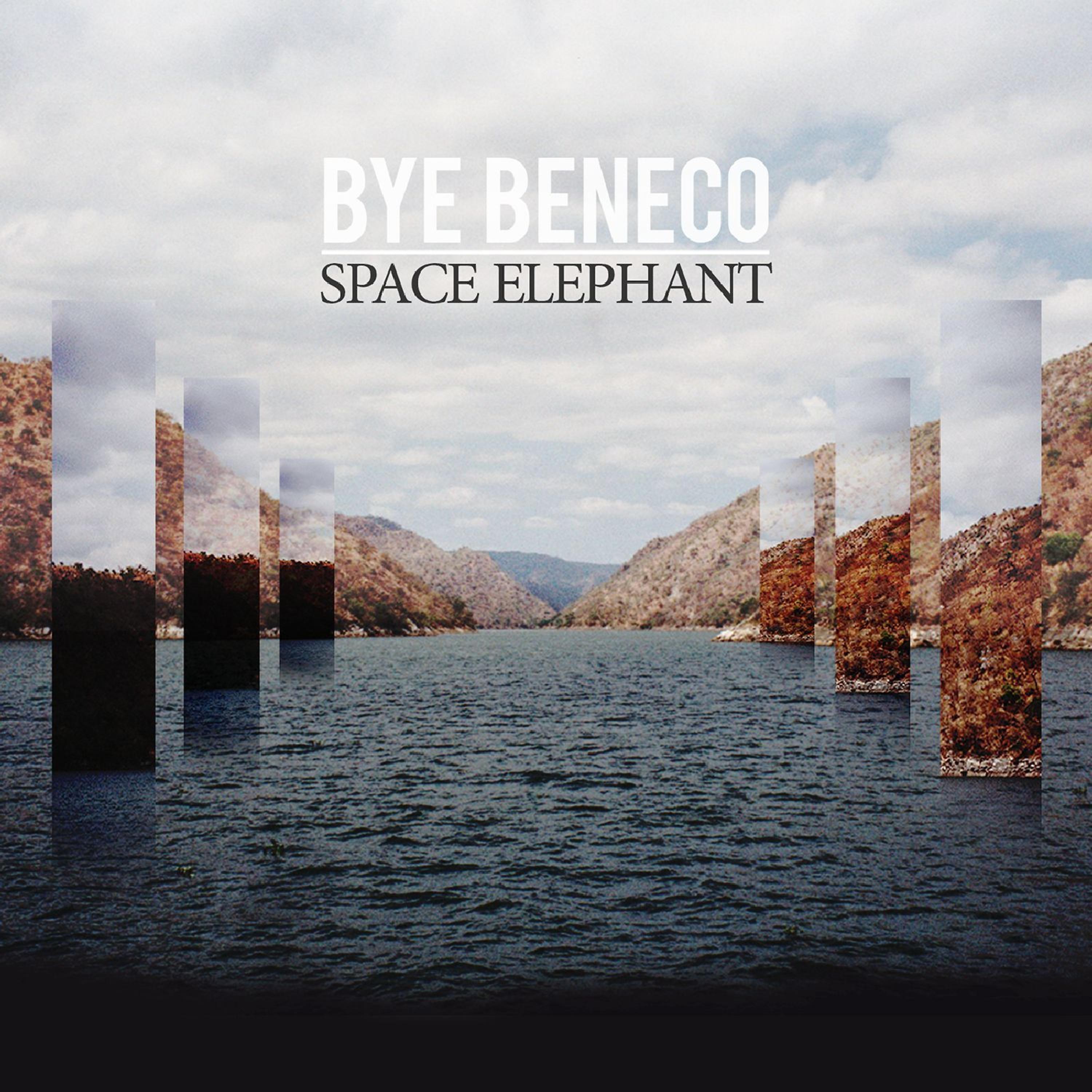 Постер альбома Space Elephant