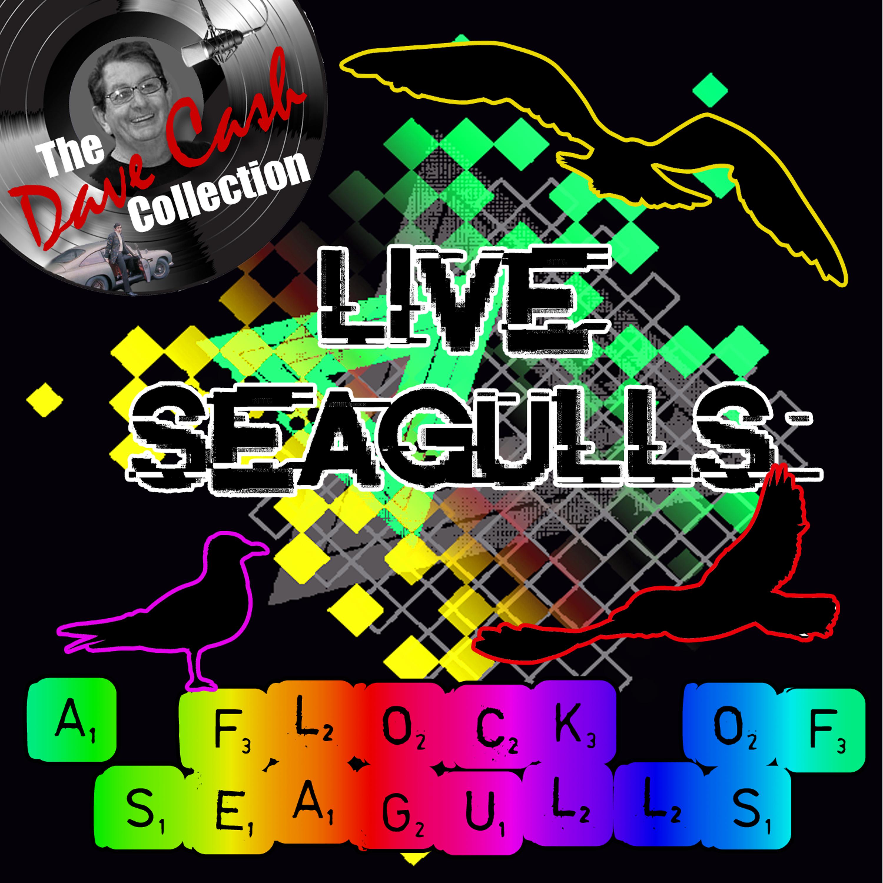 Постер альбома Live Seagulls
