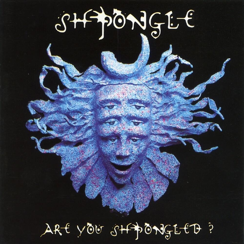 Постер альбома Are You Shpongled?