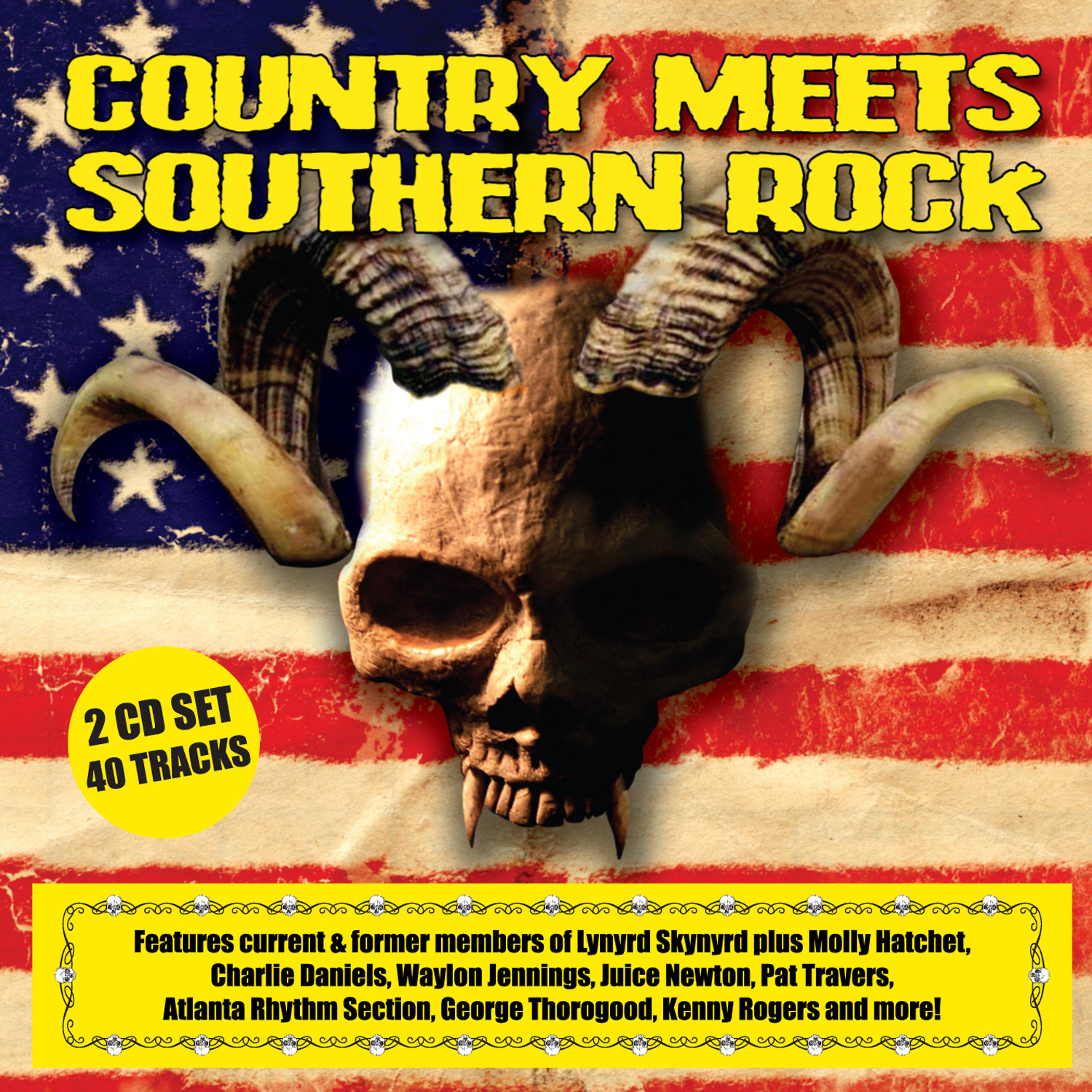 Постер альбома Country Meets Southern Rock