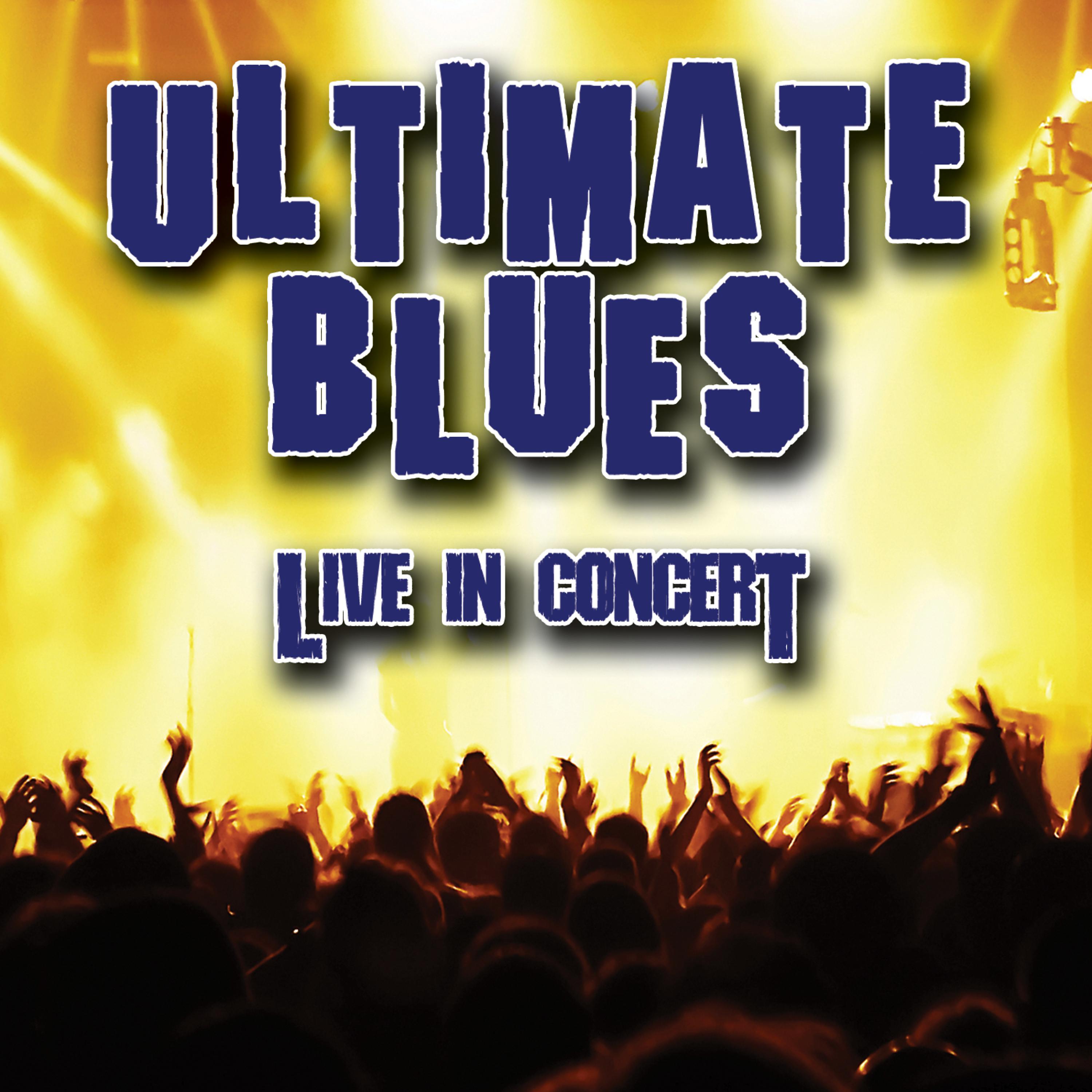Постер альбома Ultimate Blues - Live In Concert