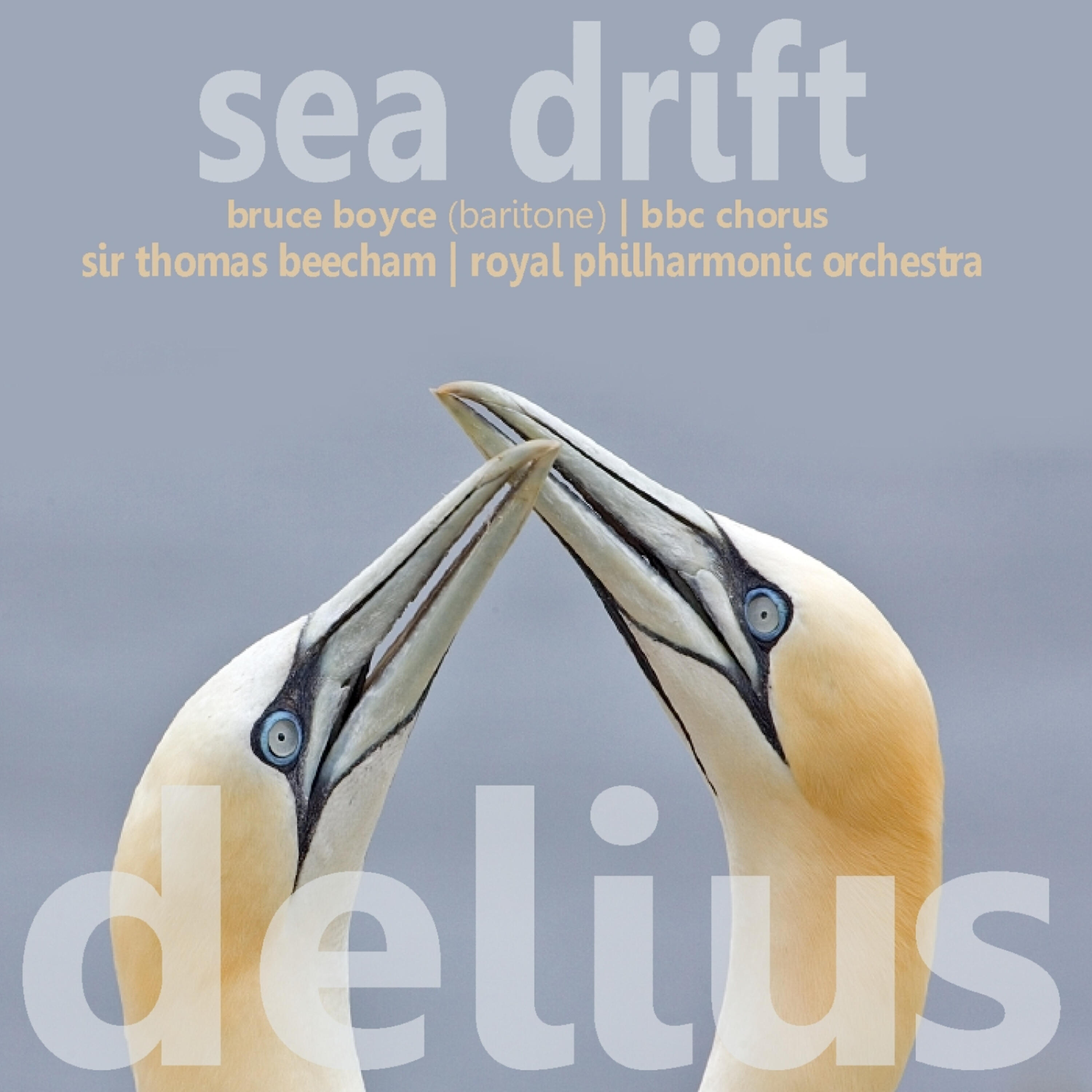 Bruce Boyce - Sea Drift: Sea Drift