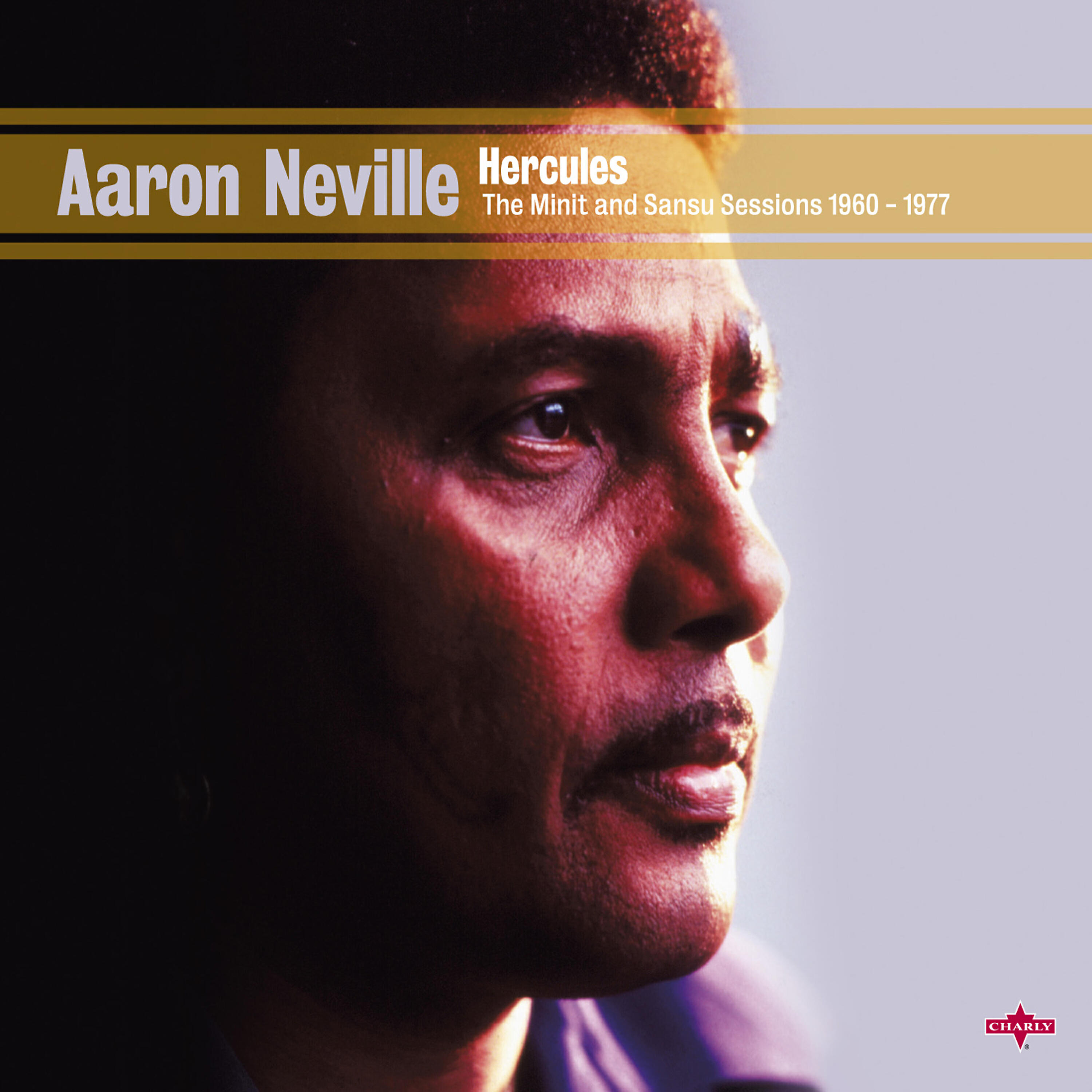 Aaron Neville - Waiting for a Bus