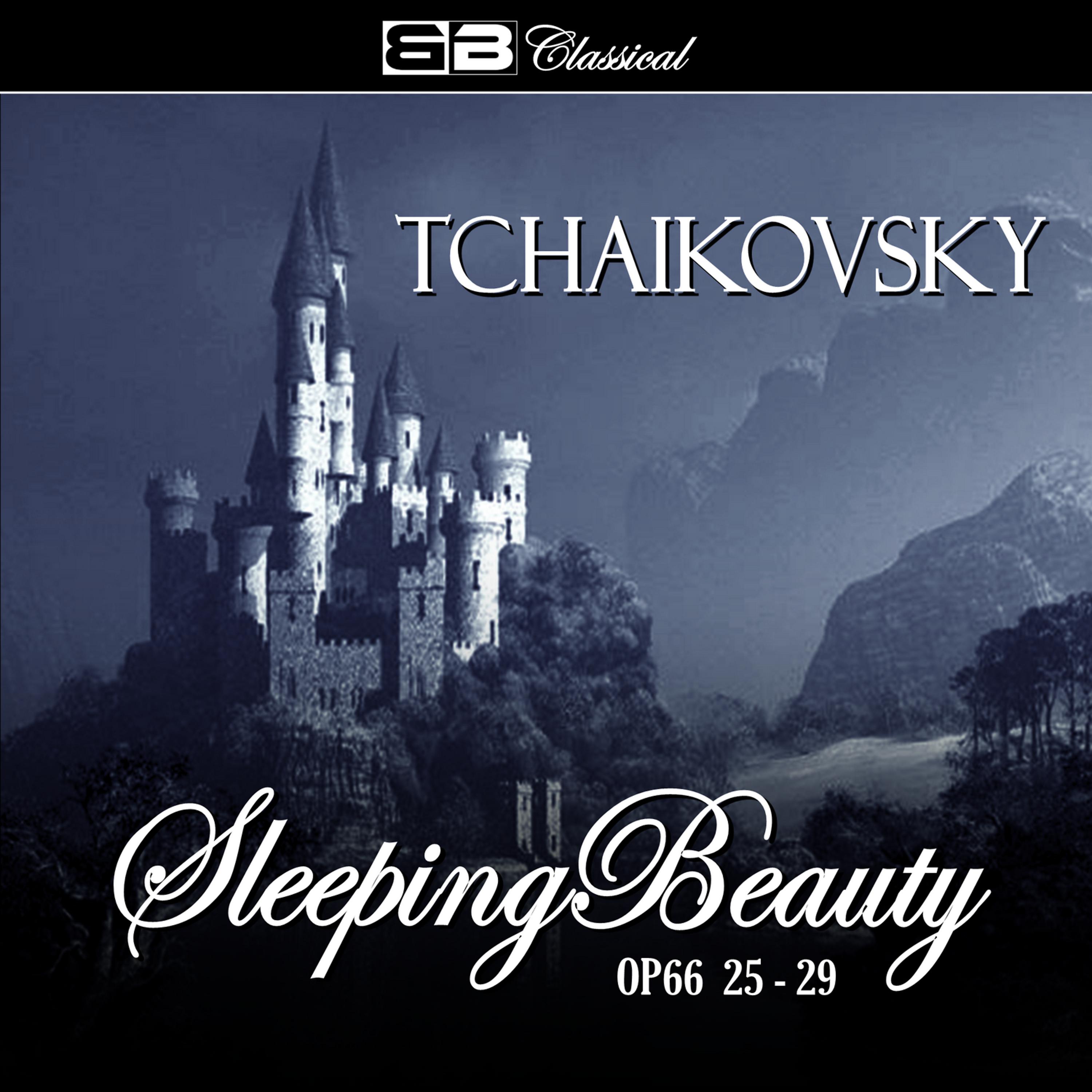 Постер альбома Tchaikovsky The Sleeping Beauty Op. 66 25-29