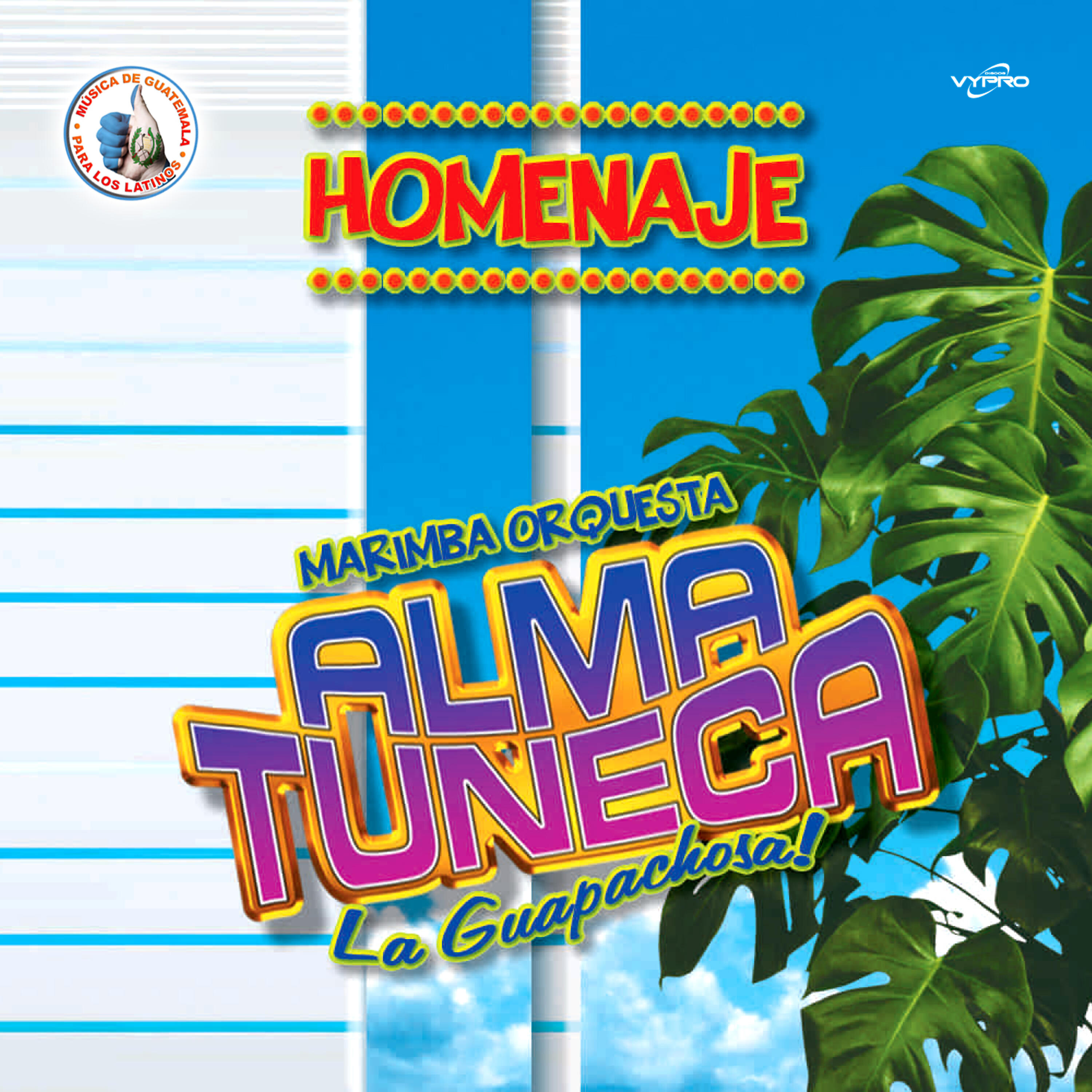 Marimba Orquesta Alma Tuneca - Espina de Tu Amor