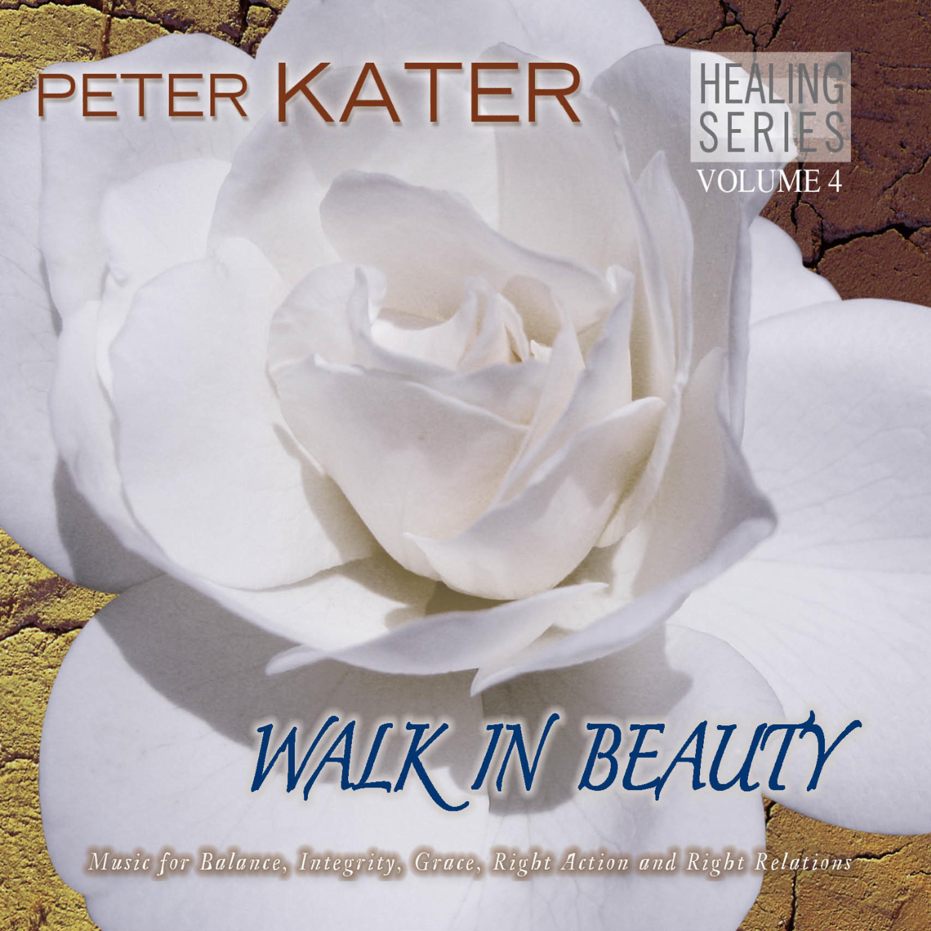 Постер альбома Walk In Beauty - Healing Series Volume 4