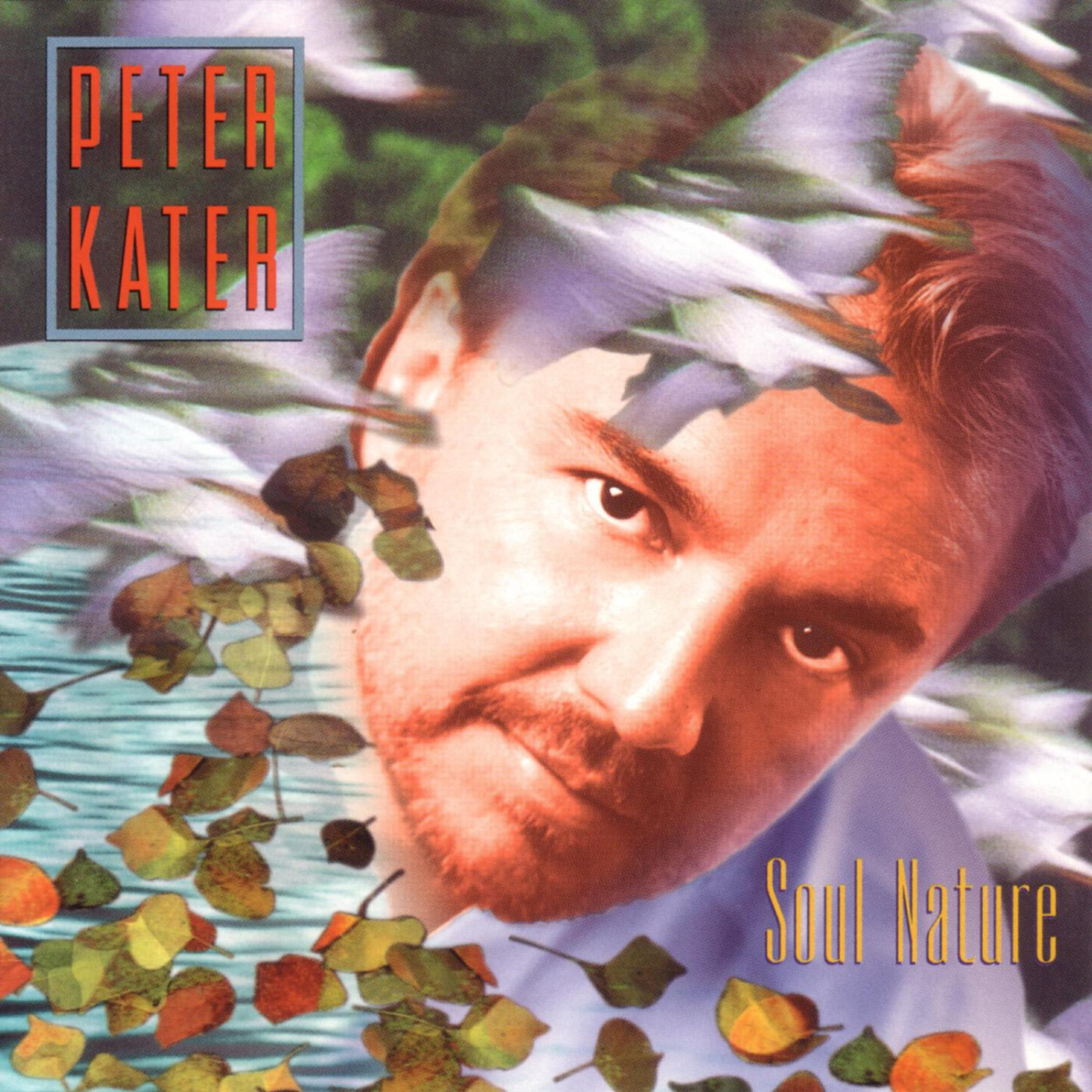 Peter Kater - Beneath The Surface