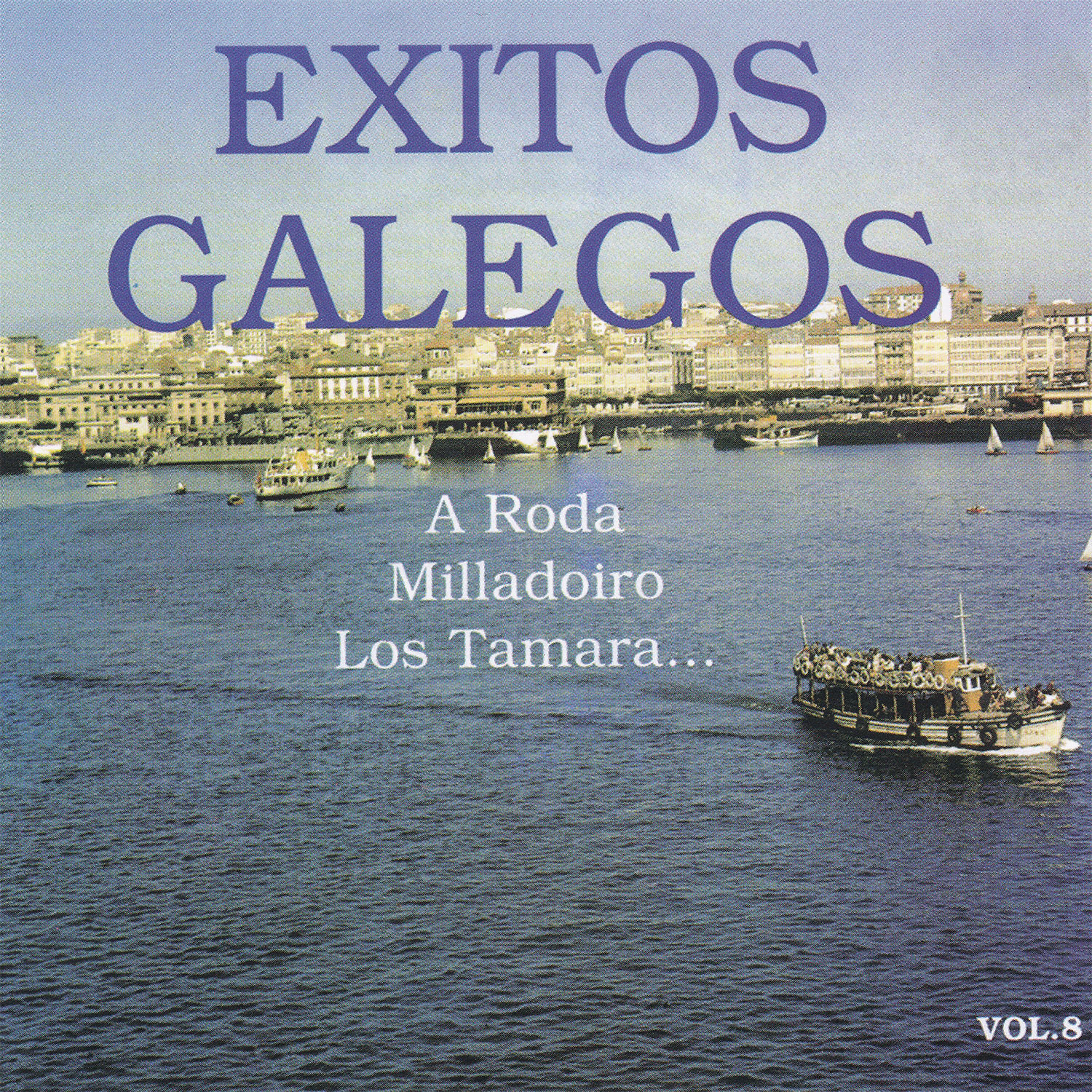 Постер альбома Éxitos Galegos