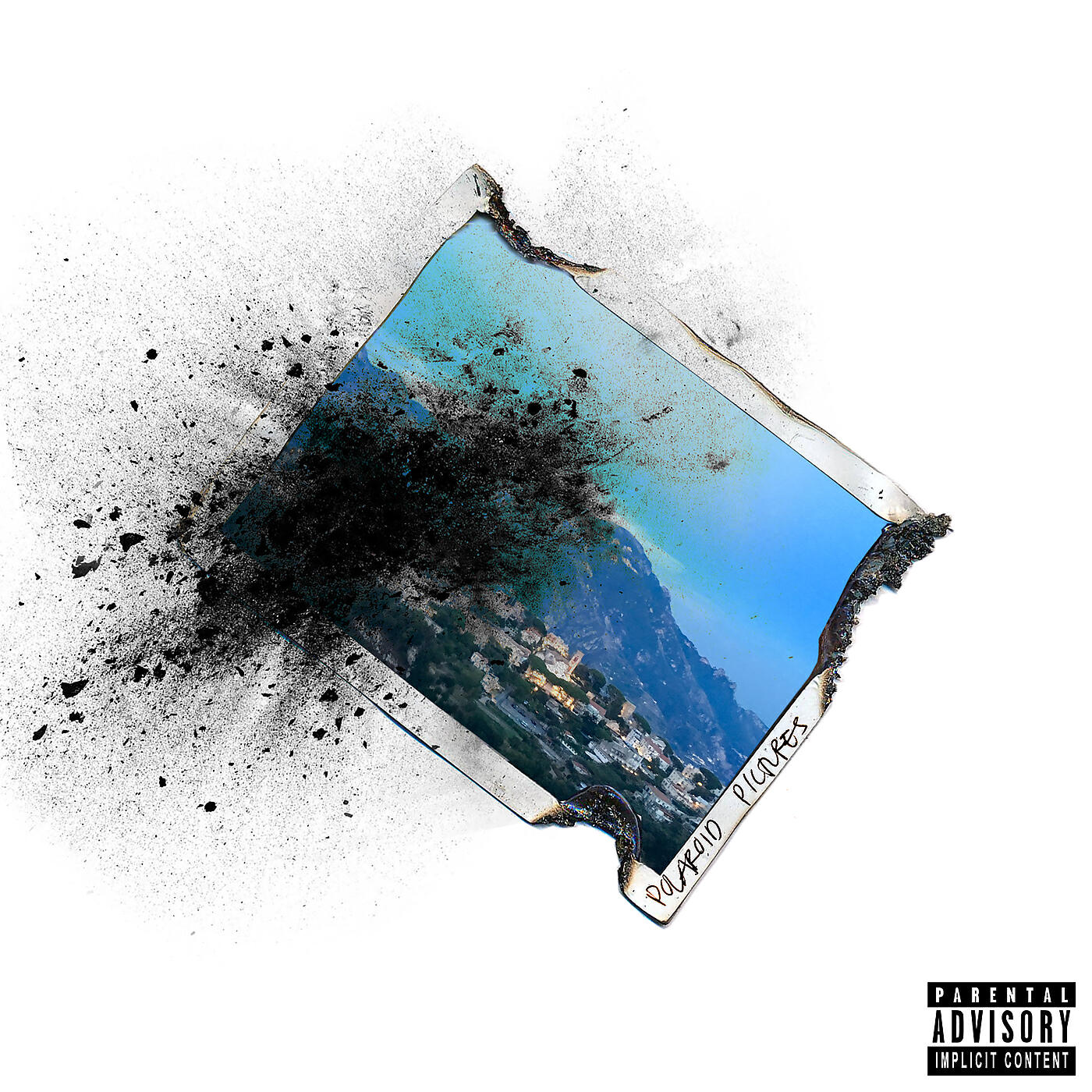 Off Bloom - Polaroid Pictures