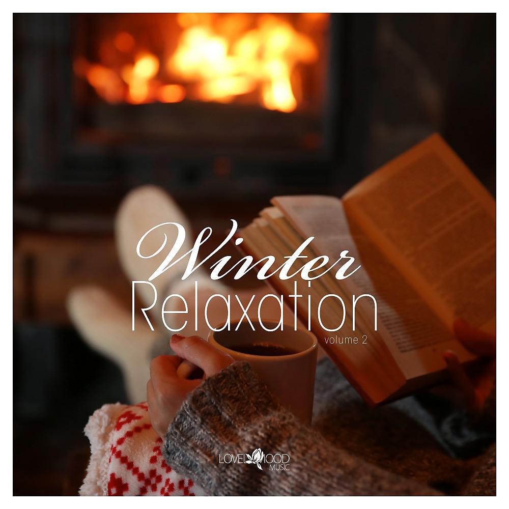 Постер альбома Winter Relaxation, Vol. 2