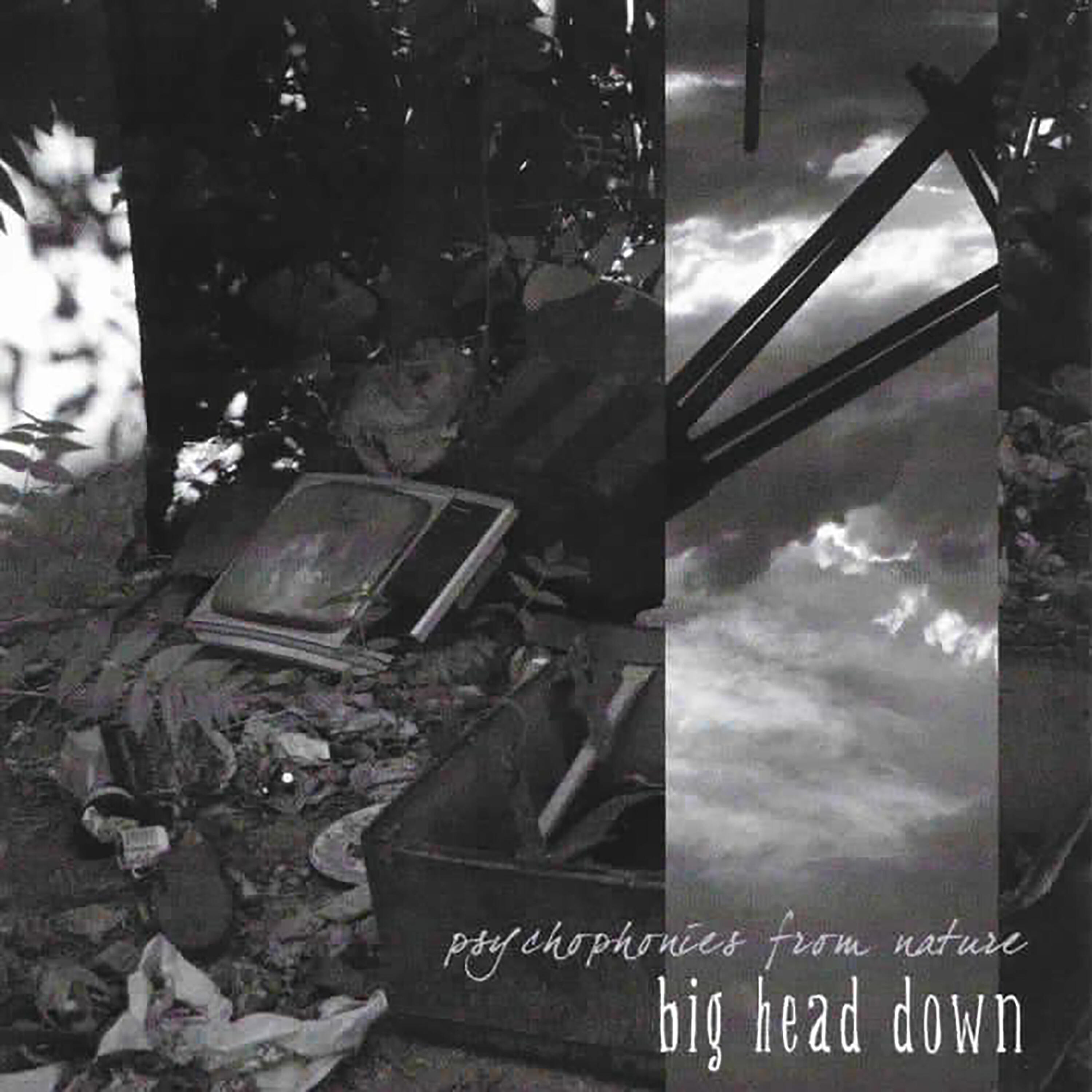 Big Head Down - Beautiful Scorn