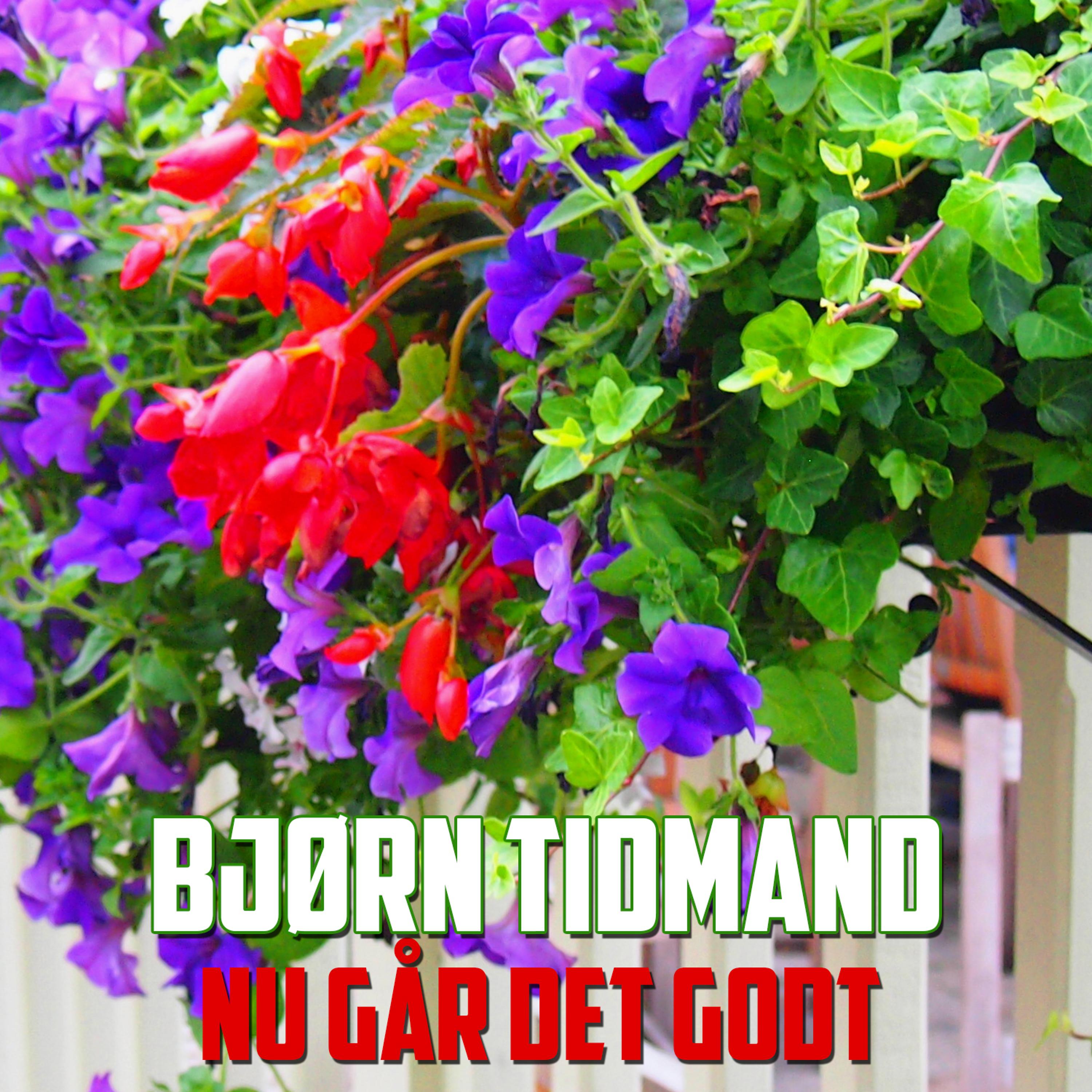 Постер альбома Nu Går Det Godt