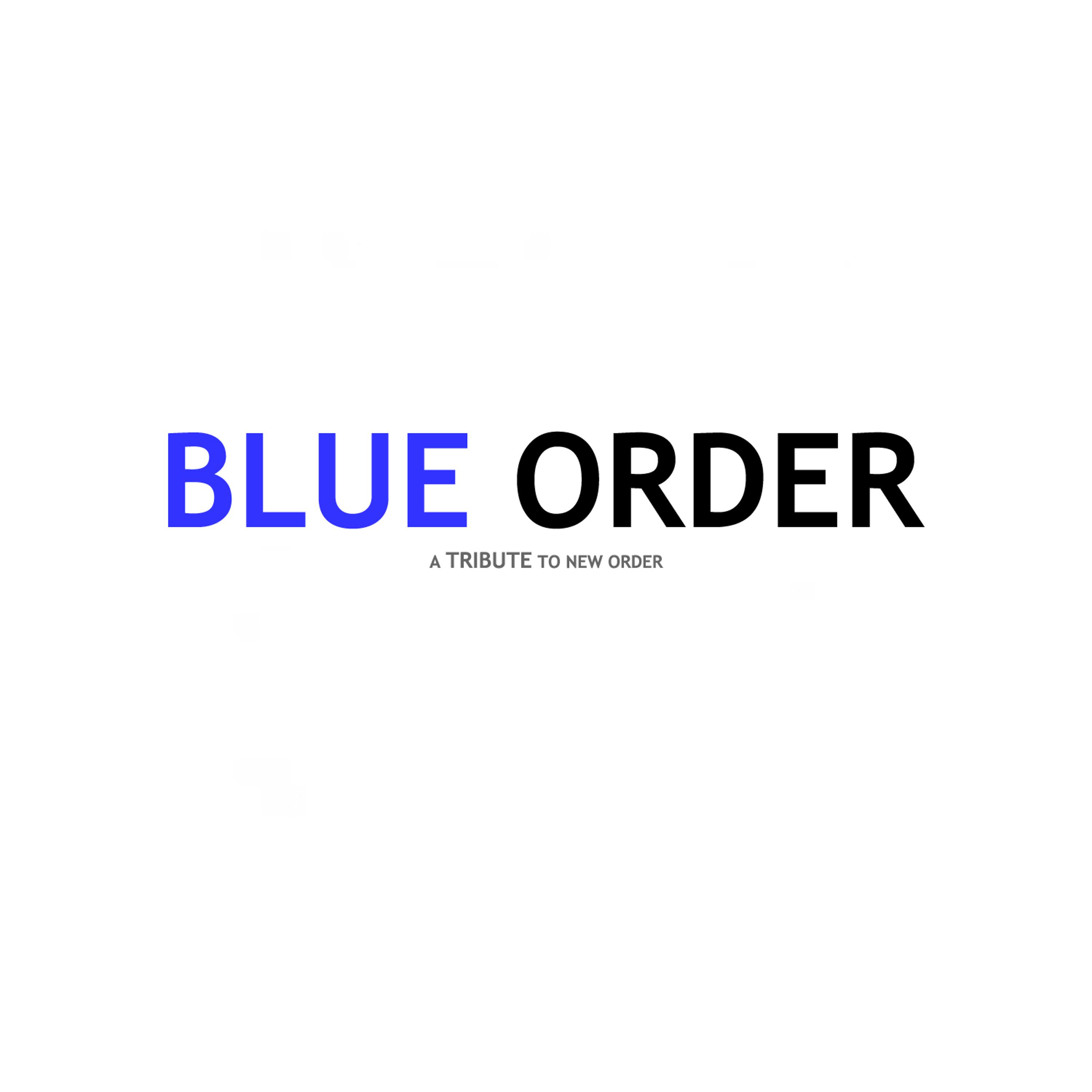 Постер альбома Blue Order a Tribute to New Order