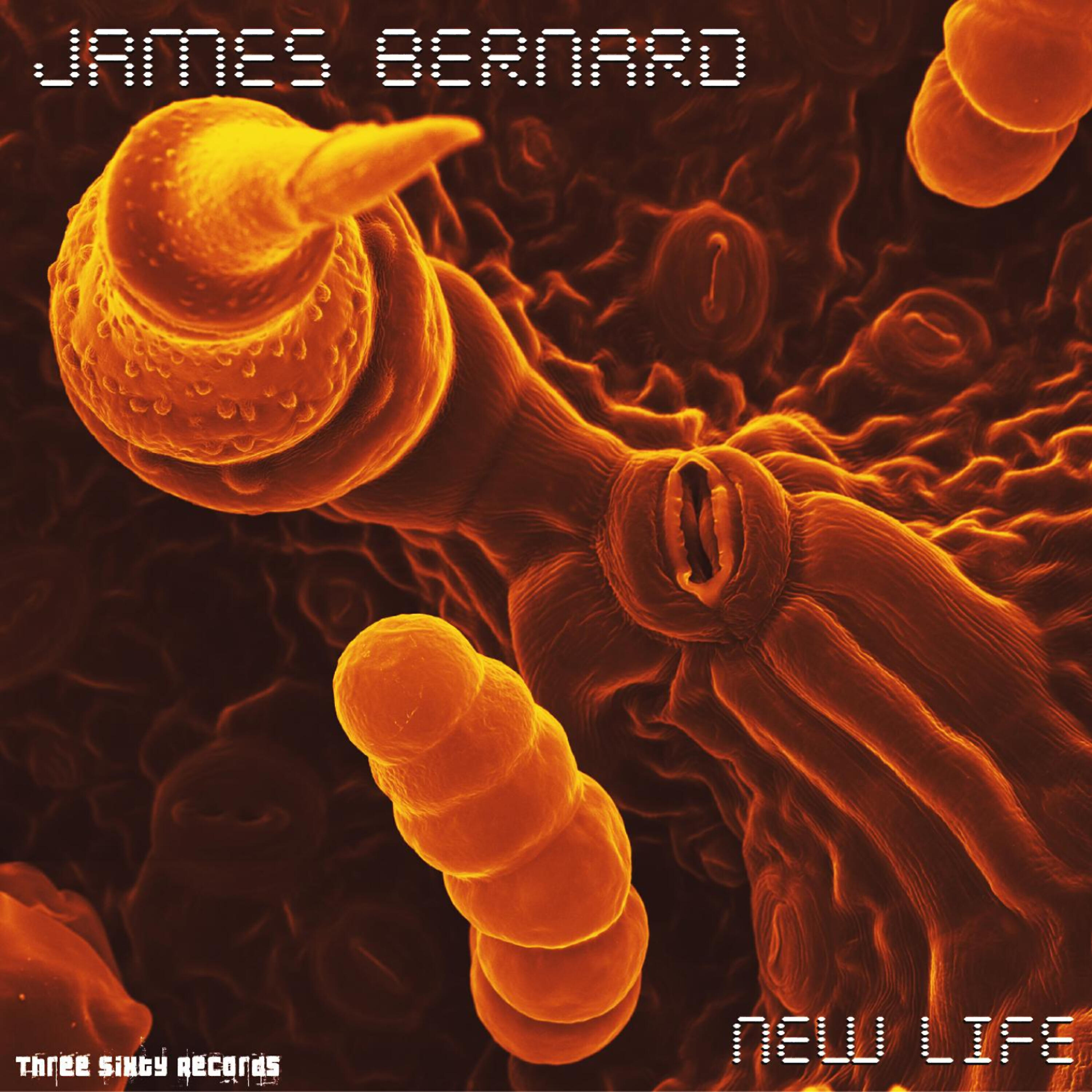 James Bernard - Segue 2