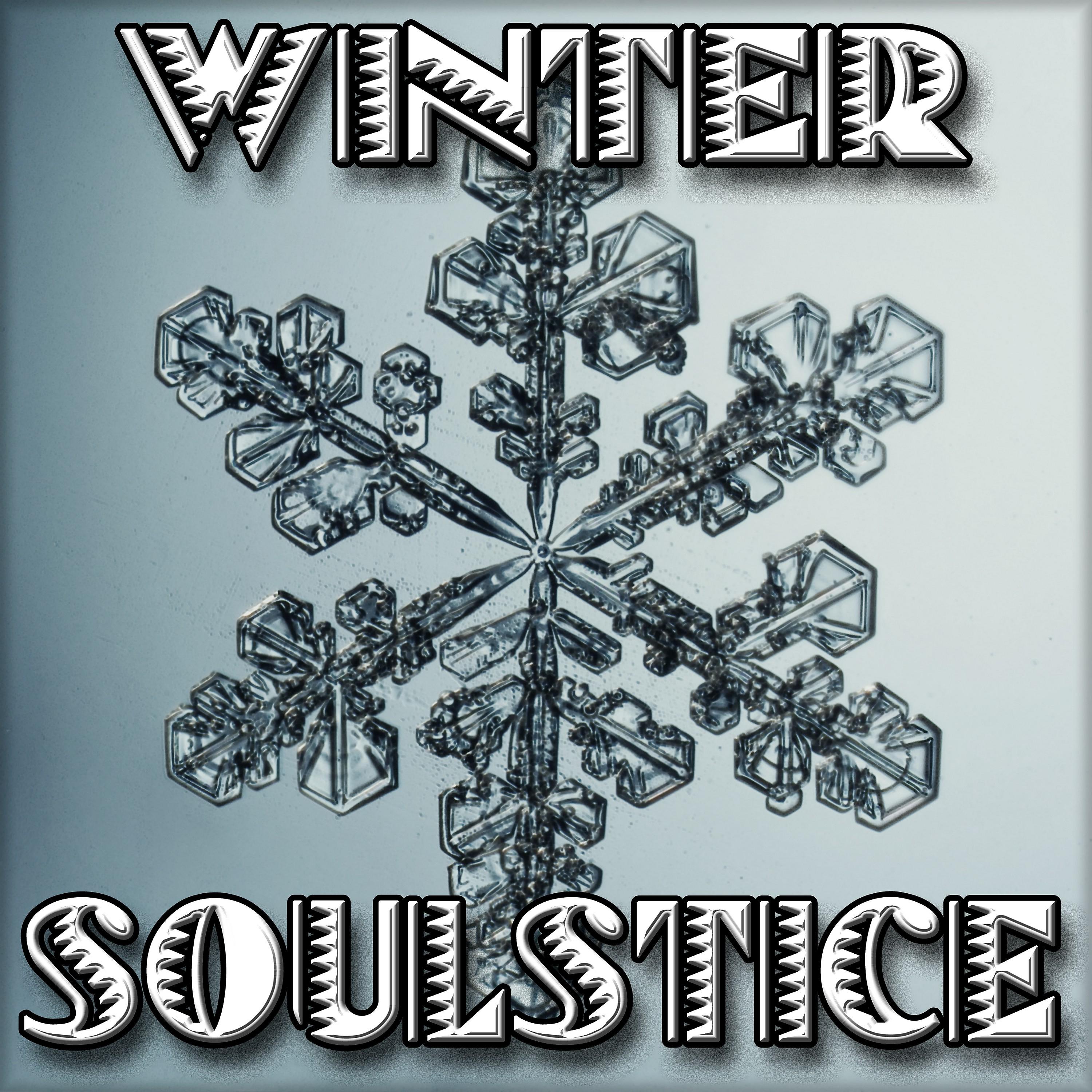 Постер альбома Wintersoulstice