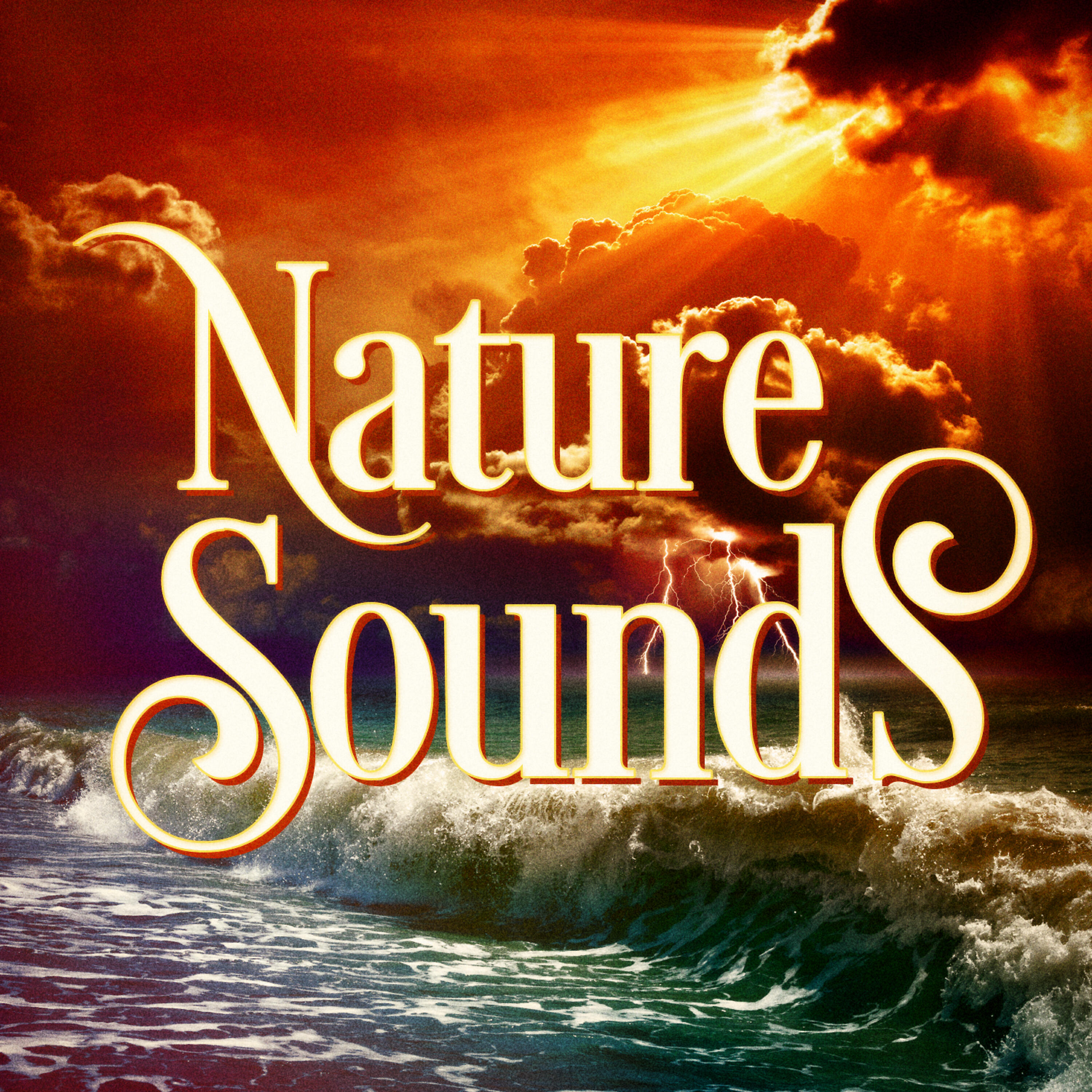 Sounds from the Seas and the Oceans - Sounds from the Sea 4: Whale Songs, Chants and Sounds
