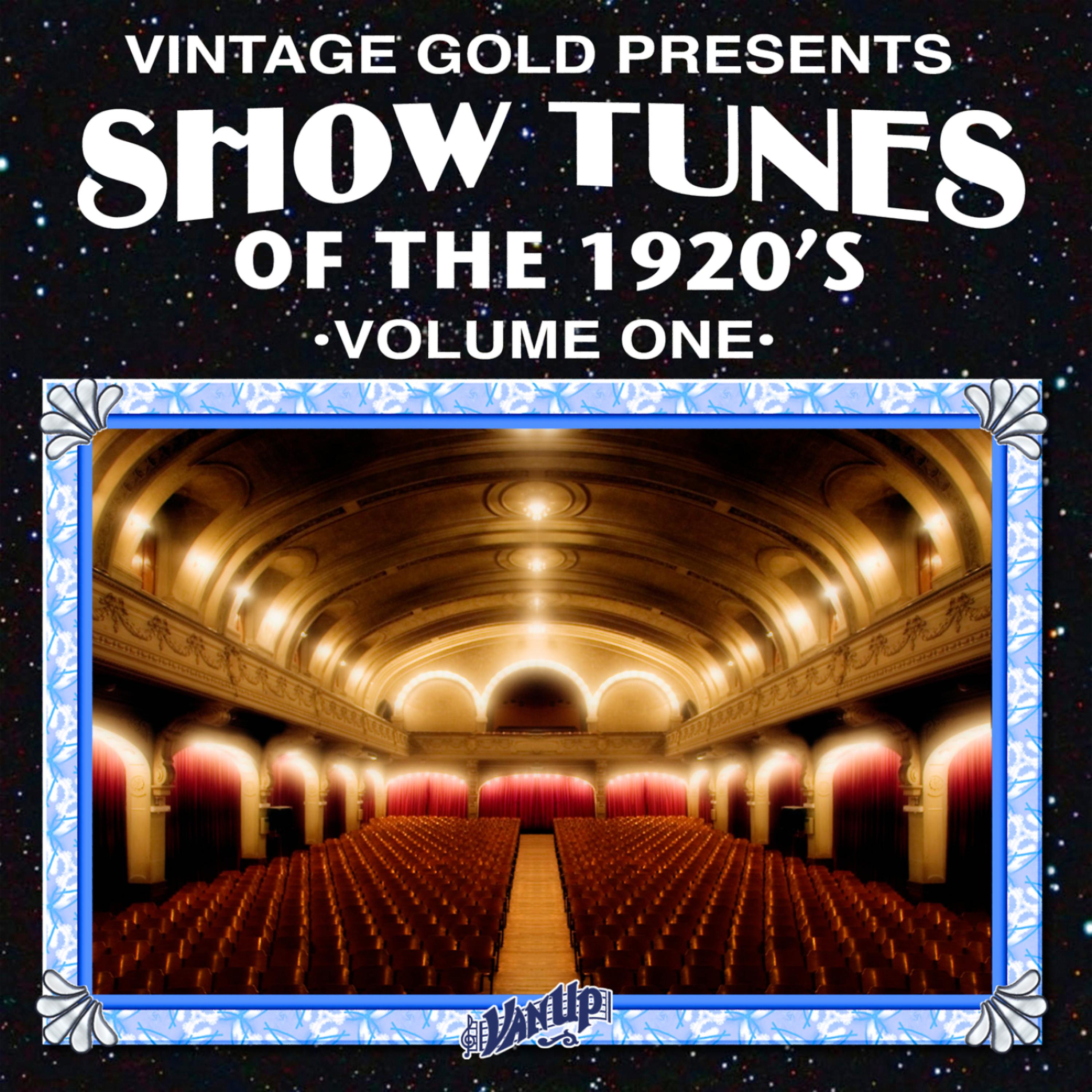 Постер альбома Show Tunes of the 1920's Vol. 1