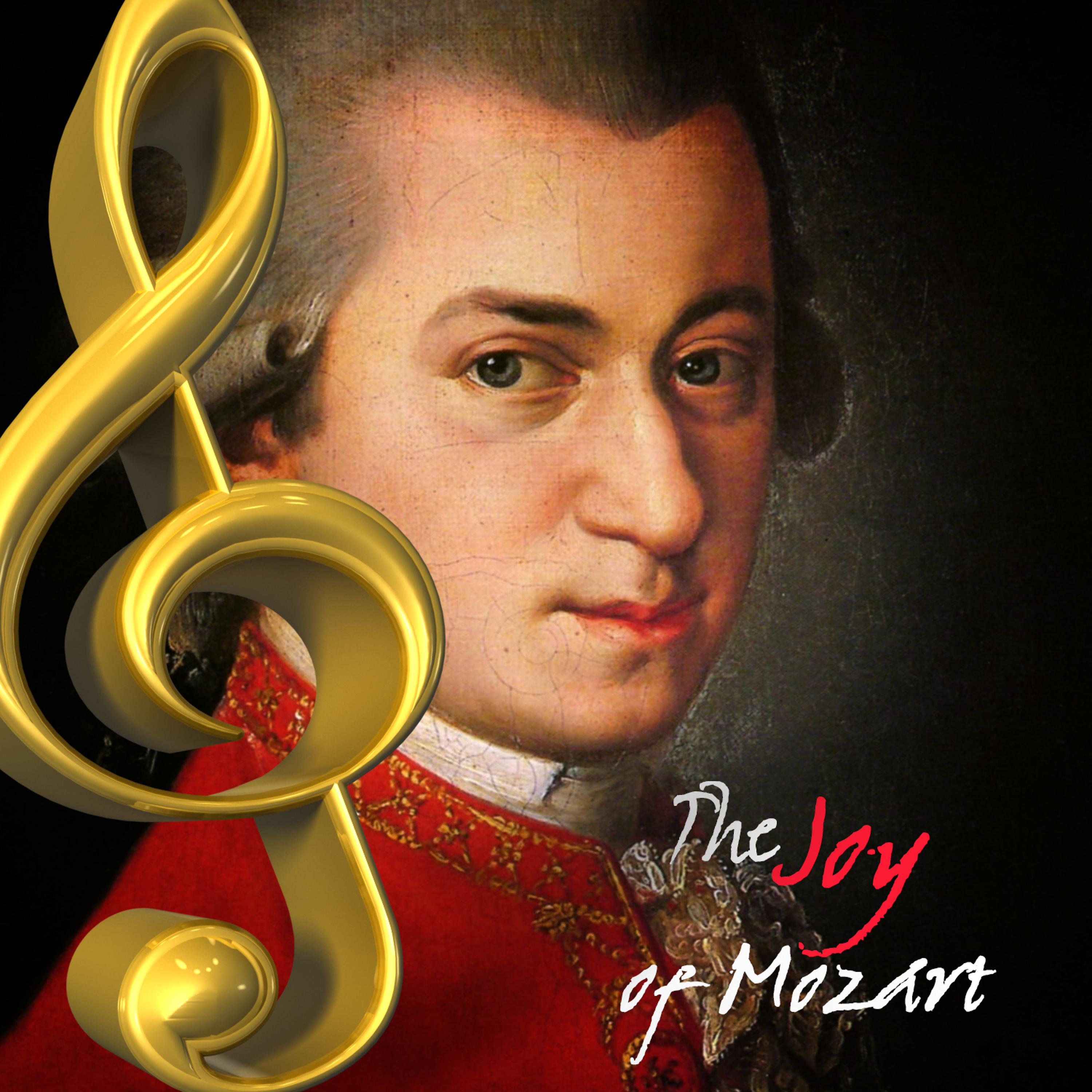 Постер альбома The Joy of Mozart