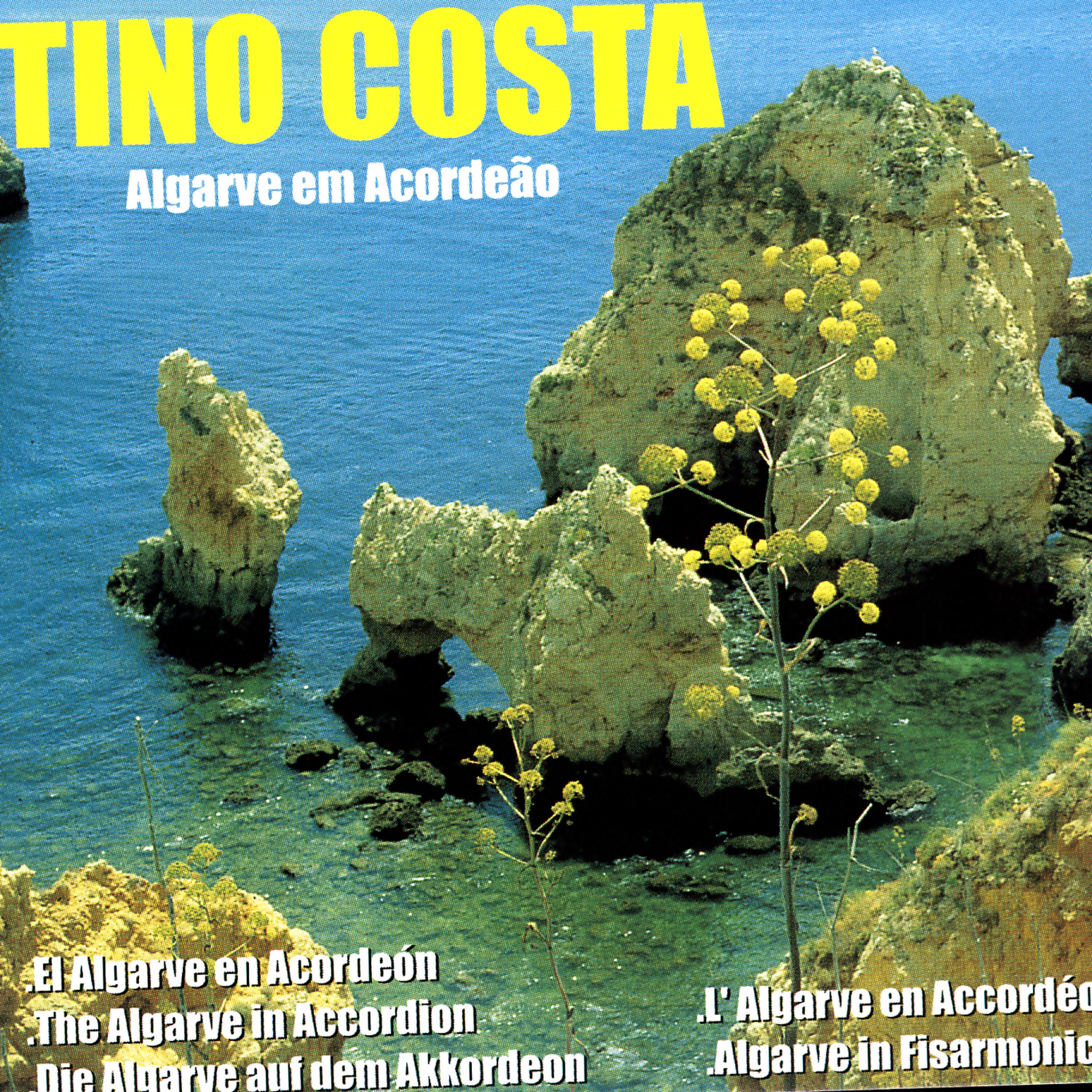 Tino Costa - Algarve Em Acordeão