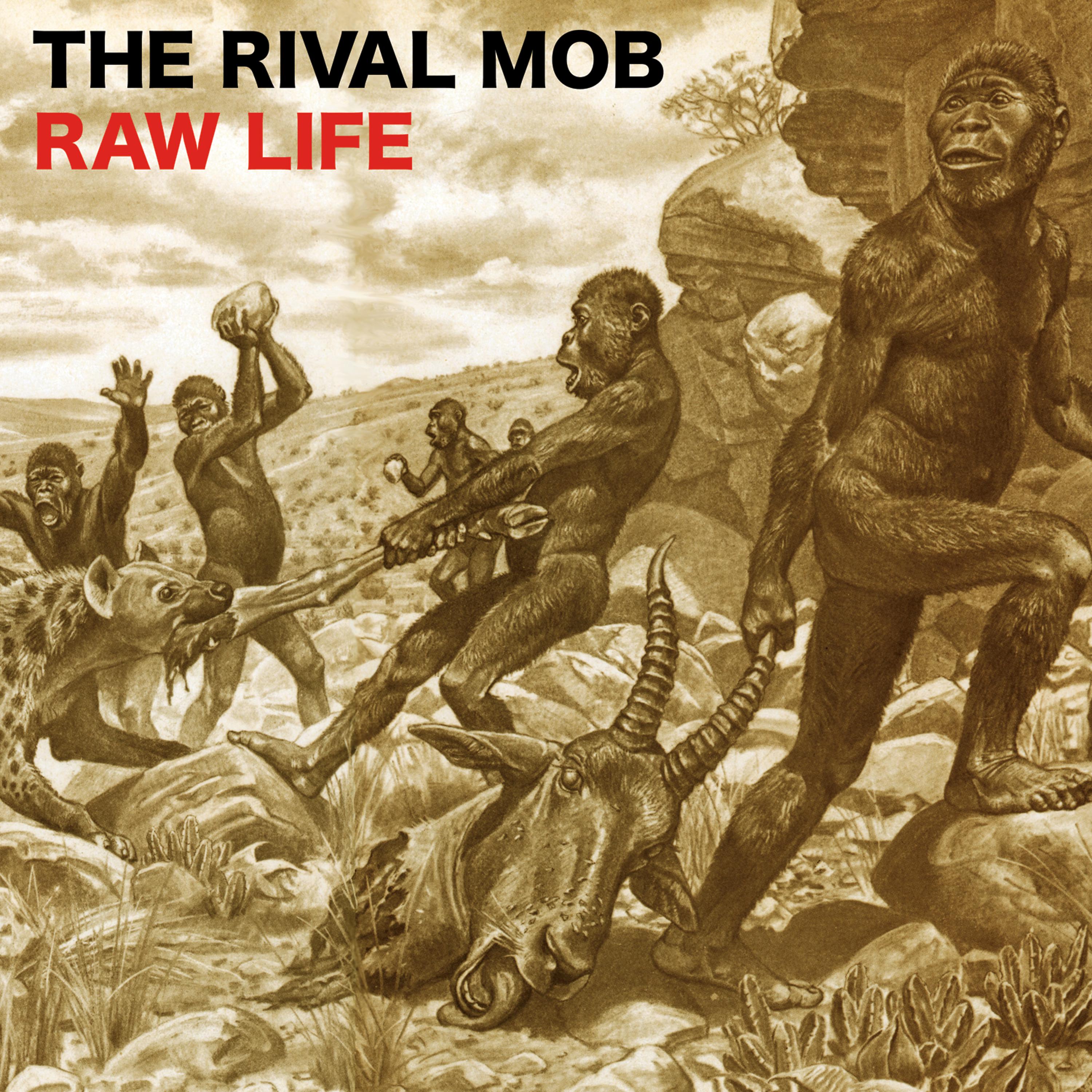 Постер альбома Raw Life