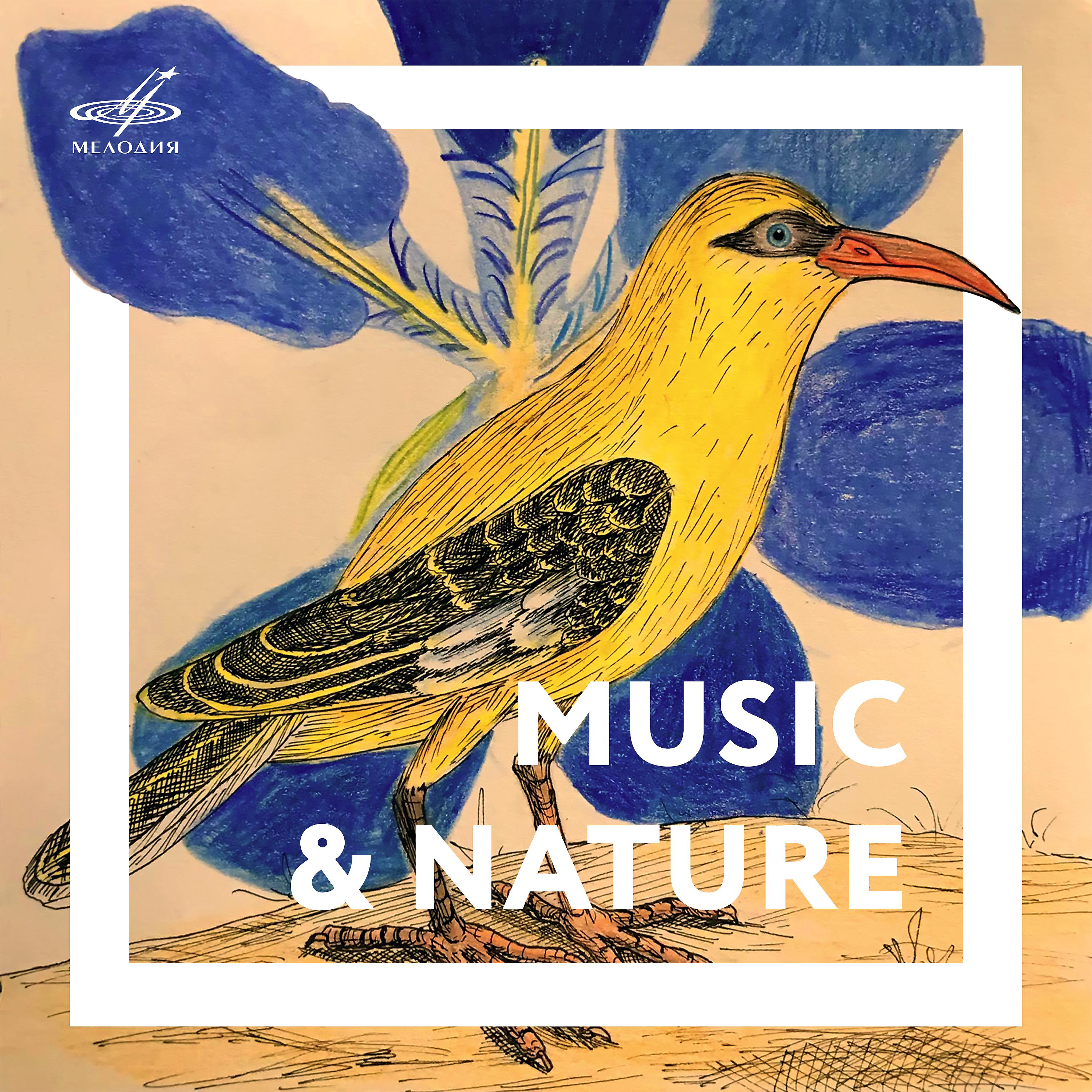 Постер альбома Музыка и природа