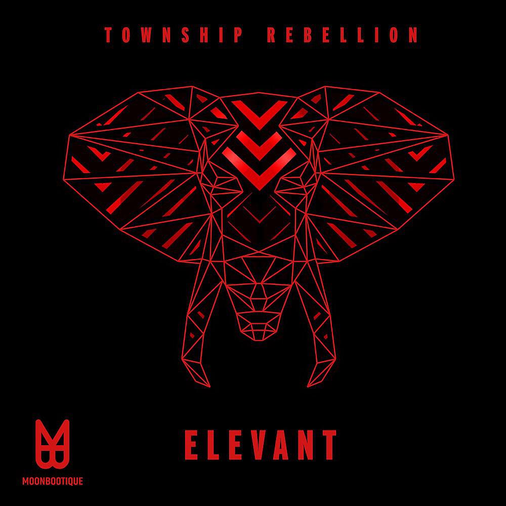 Township Rebellion - Elevant (Bjoern Stoerig Remix)