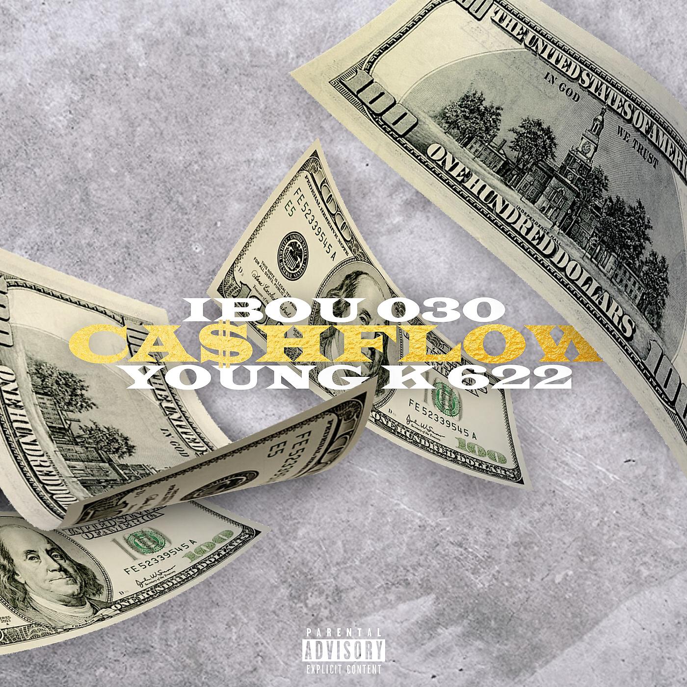 Ibou030 - Cashflow