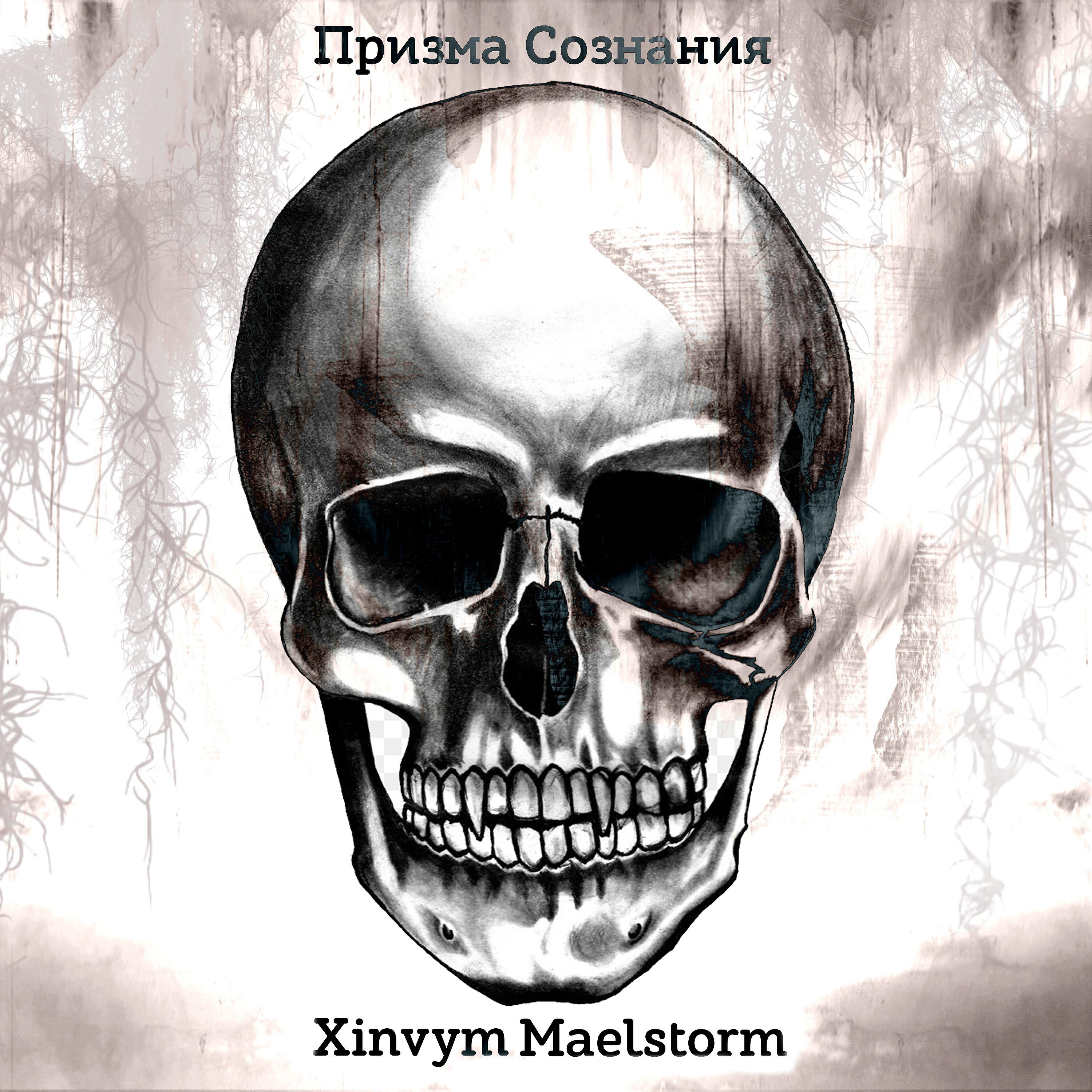 Maelstorm - В моем кошельке