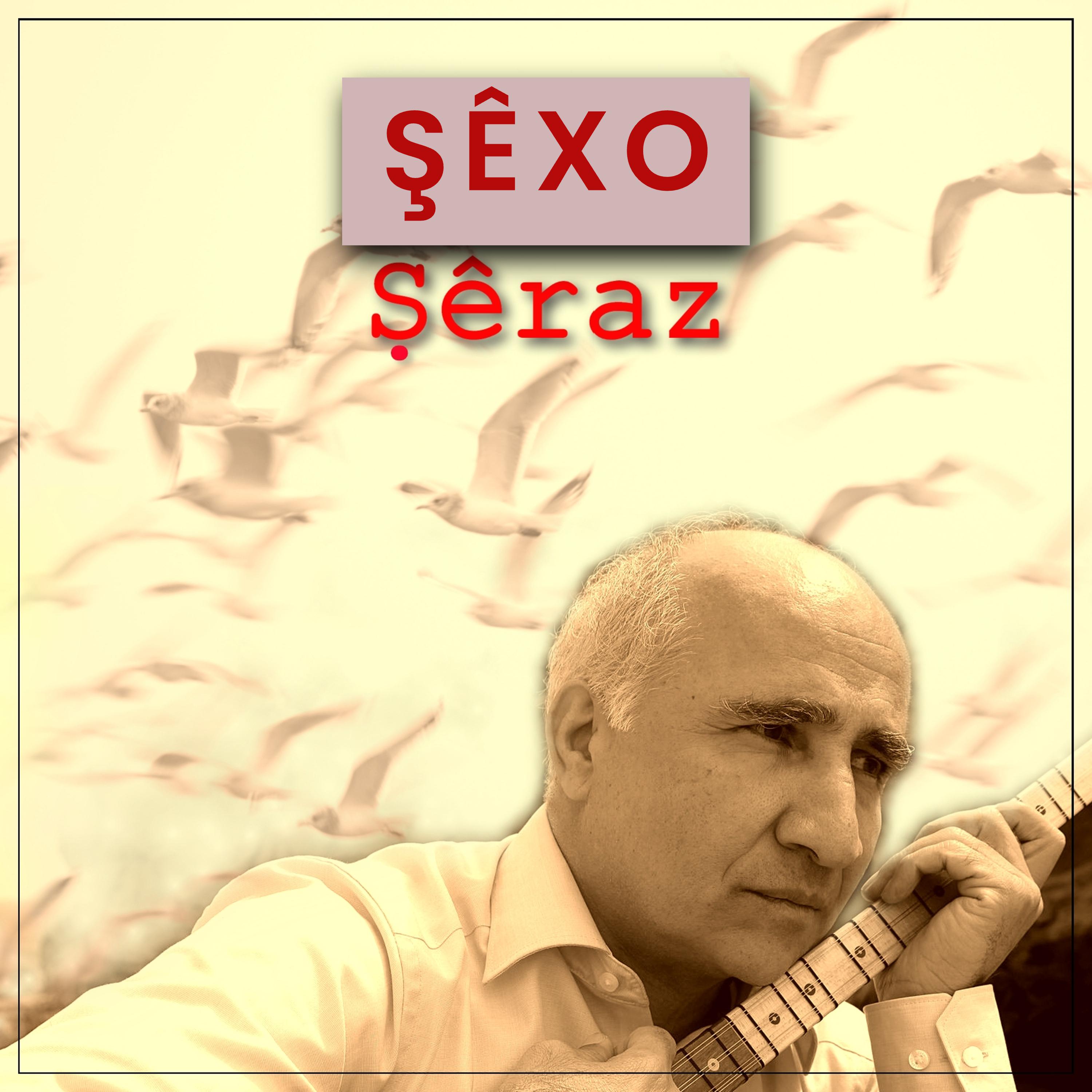 Постер альбома Şêraz
