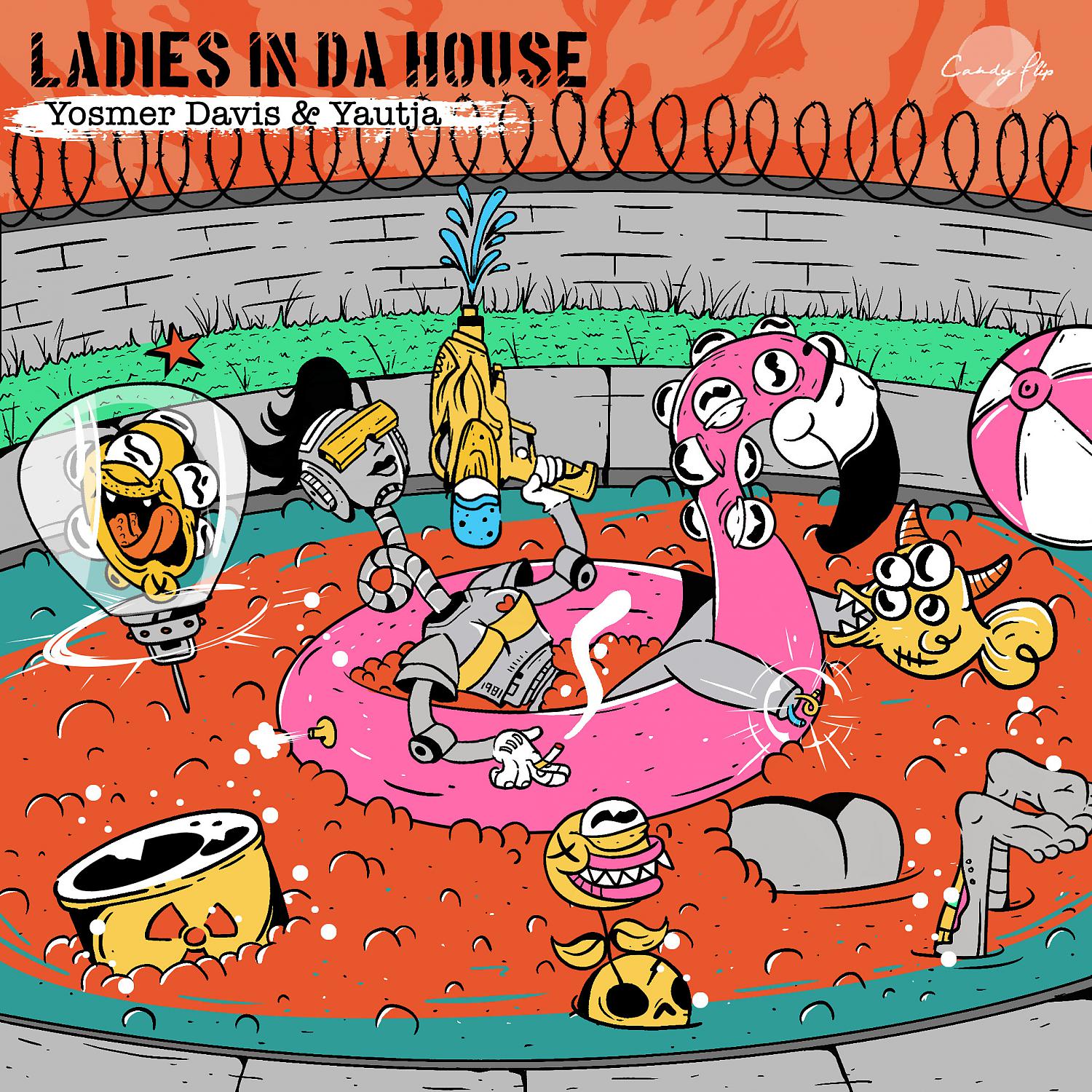 Постер альбома Ladies In Da House