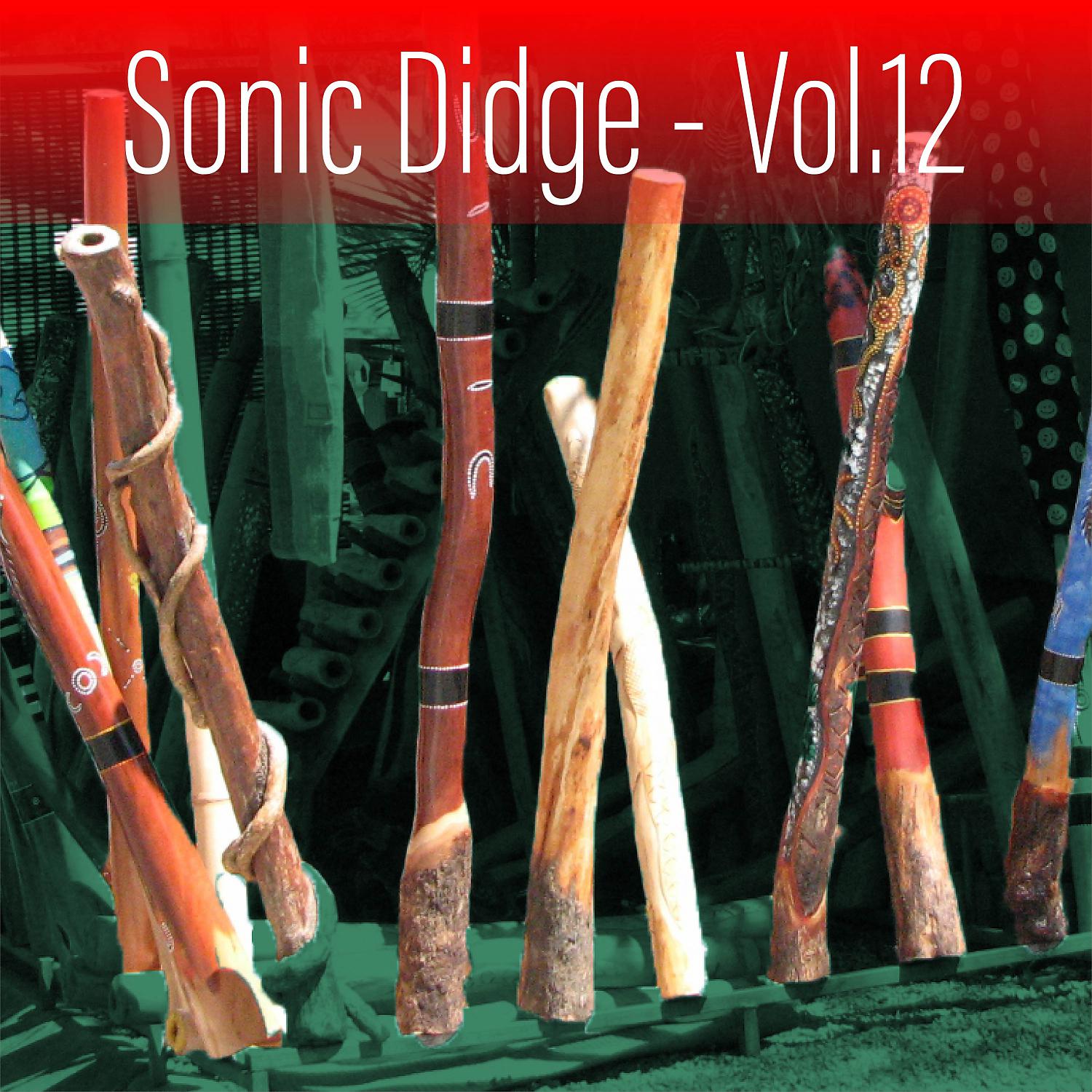 Постер альбома Sonic Didge, Vol. 12