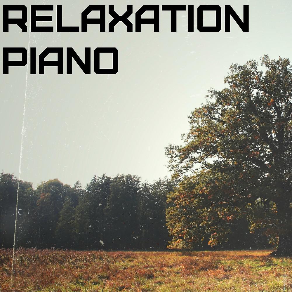 Постер альбома Relaxation: Sleep, Study, Chill, Calm, Soft Piano