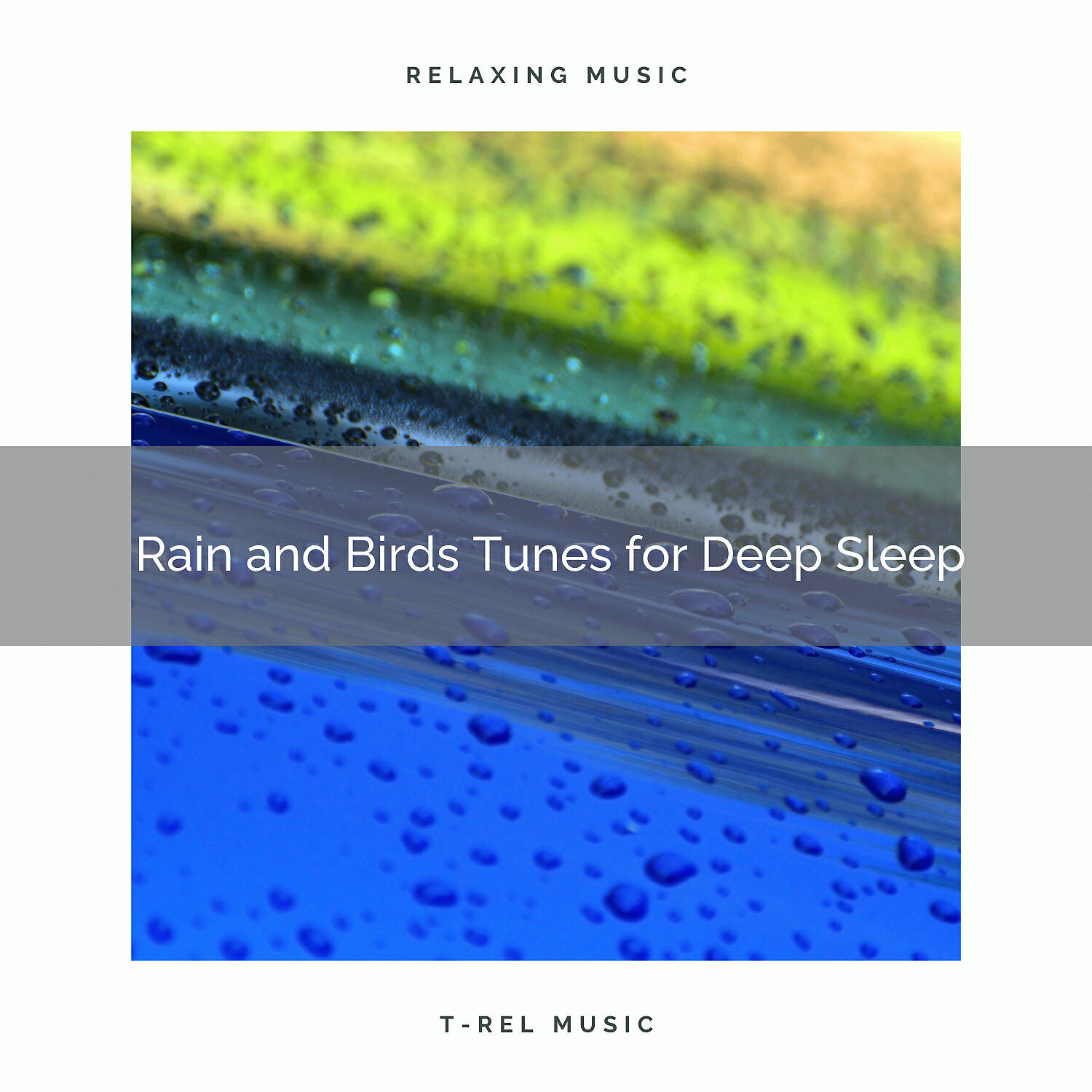 Lullaby Rain - Thunder and Woods Noises for Deep Sleep