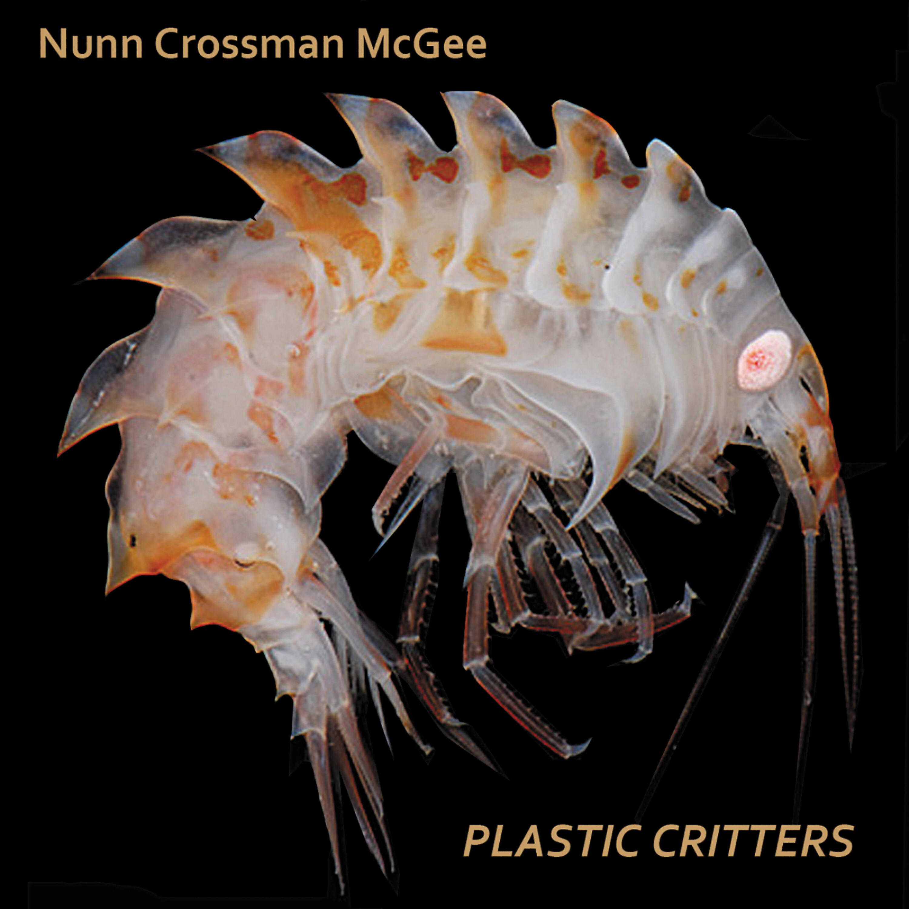 Tom Nunn - Plasticity