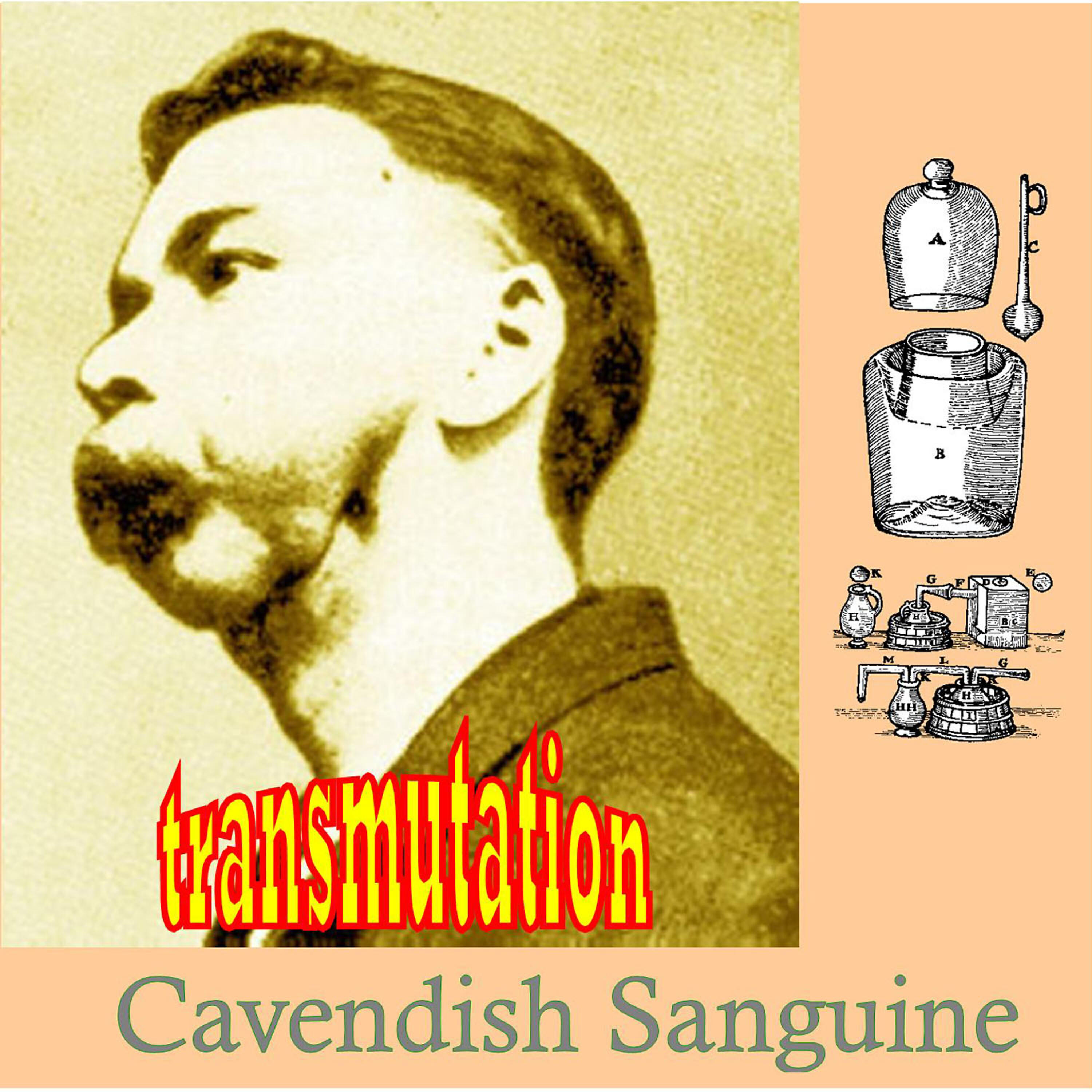 Cavendish Sanguine - Tantalum Prongs II