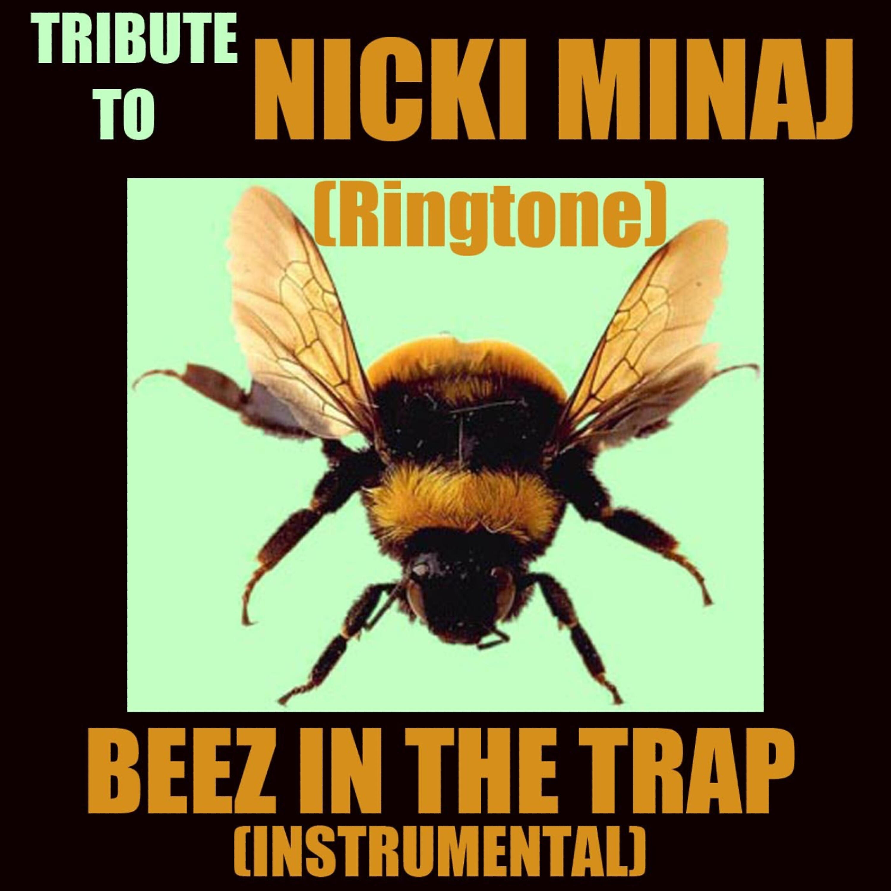The Beat Mechanics - Beez In The Trap (Instrumental Cover)