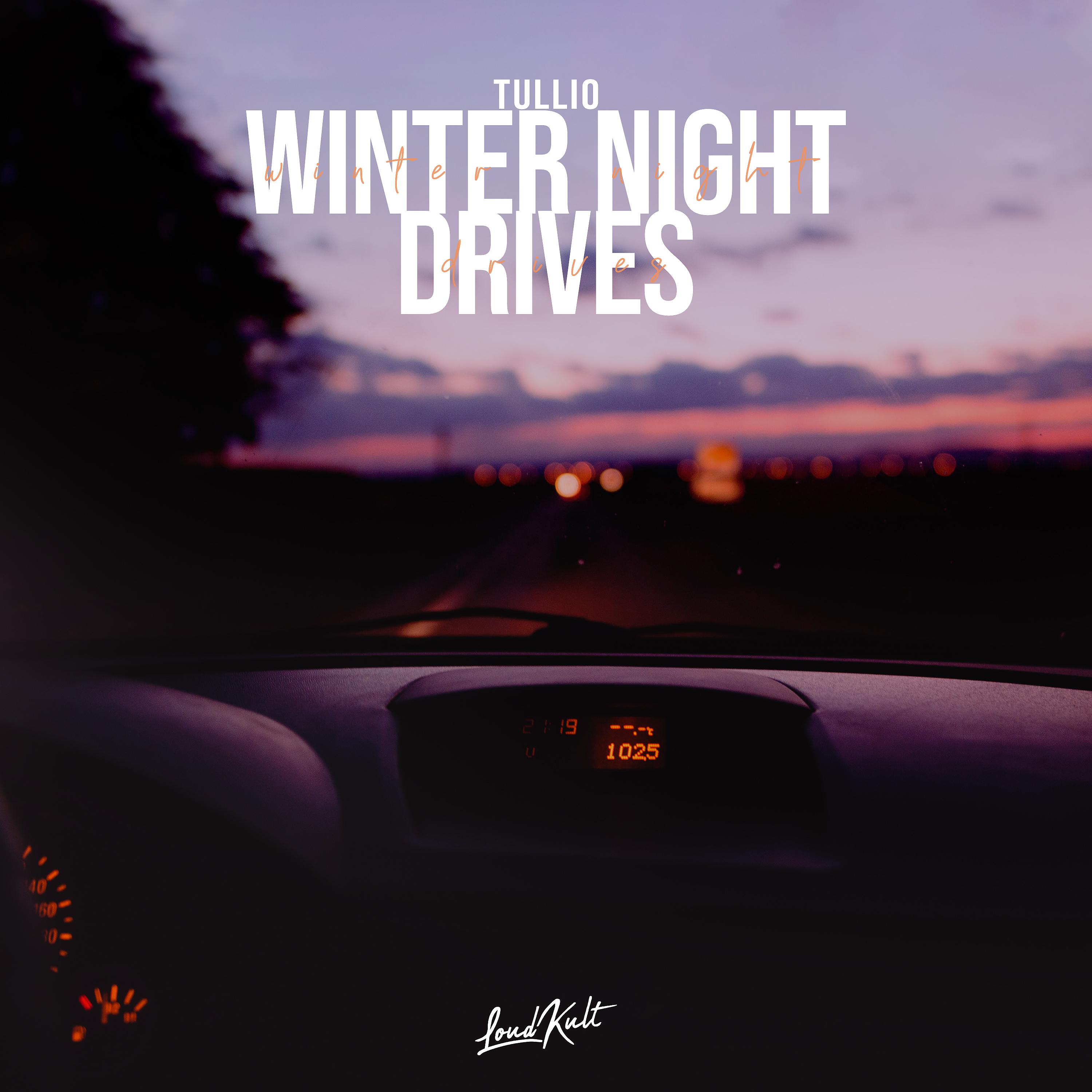 Постер альбома Winter Night Drives