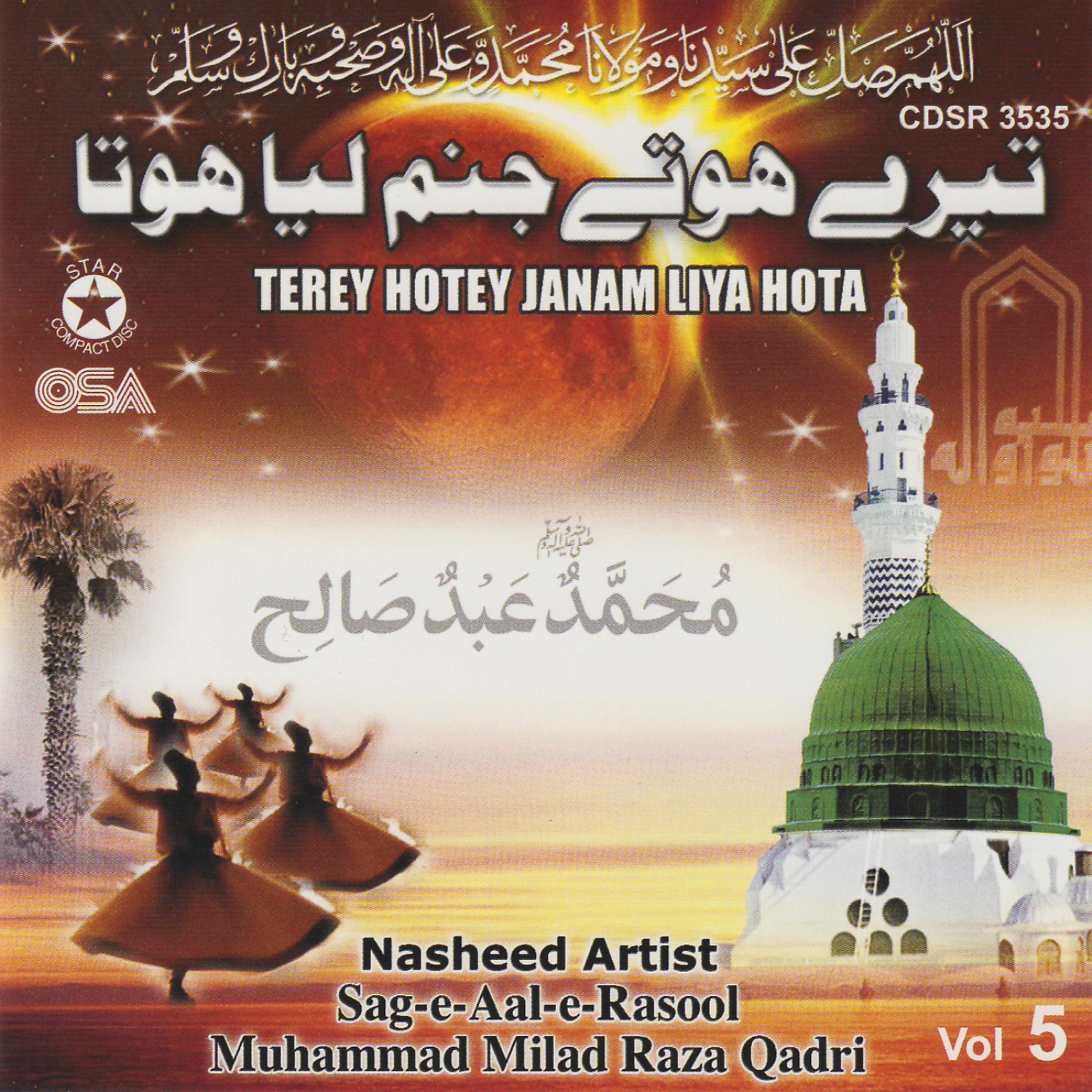 Muhammad Milad Raza Qadri - Terey Hotay Janam Liya Hota