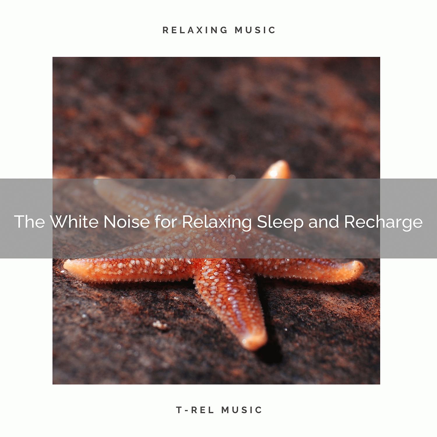 Постер альбома The White Noise for Relaxing Sleep and Recharge